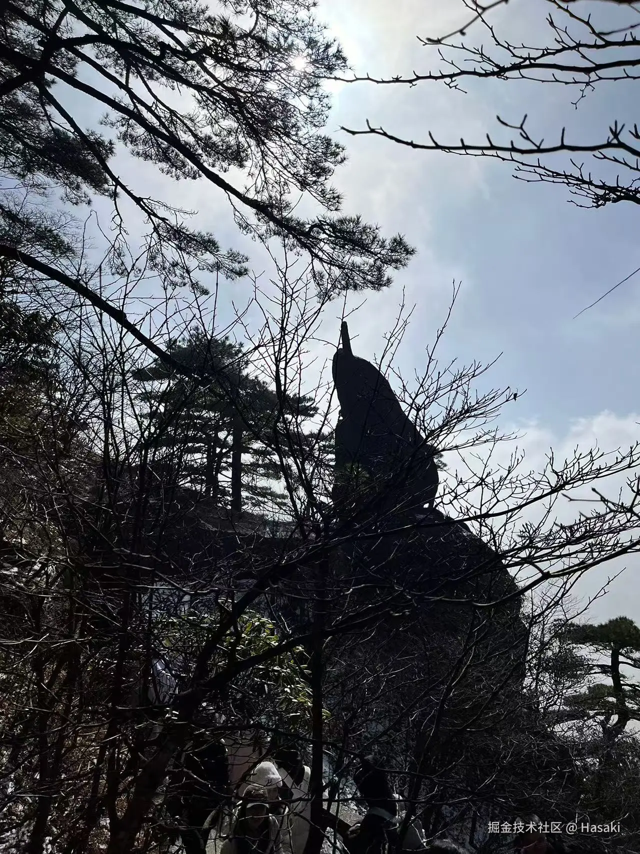 Hasaki于2024-12-16 10:21发布的图片