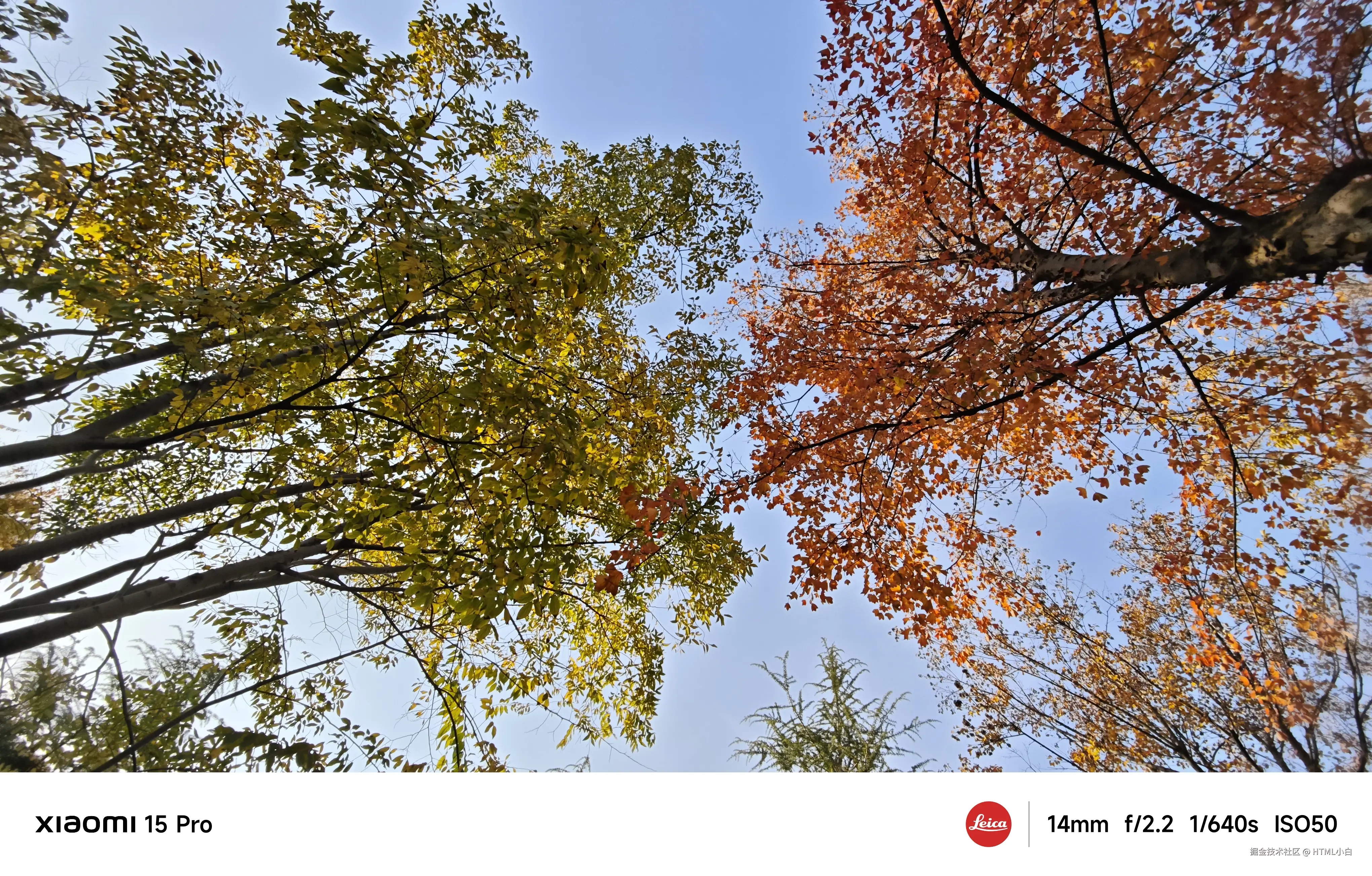 HTML小白于2025-11-03 10:31发布的图片