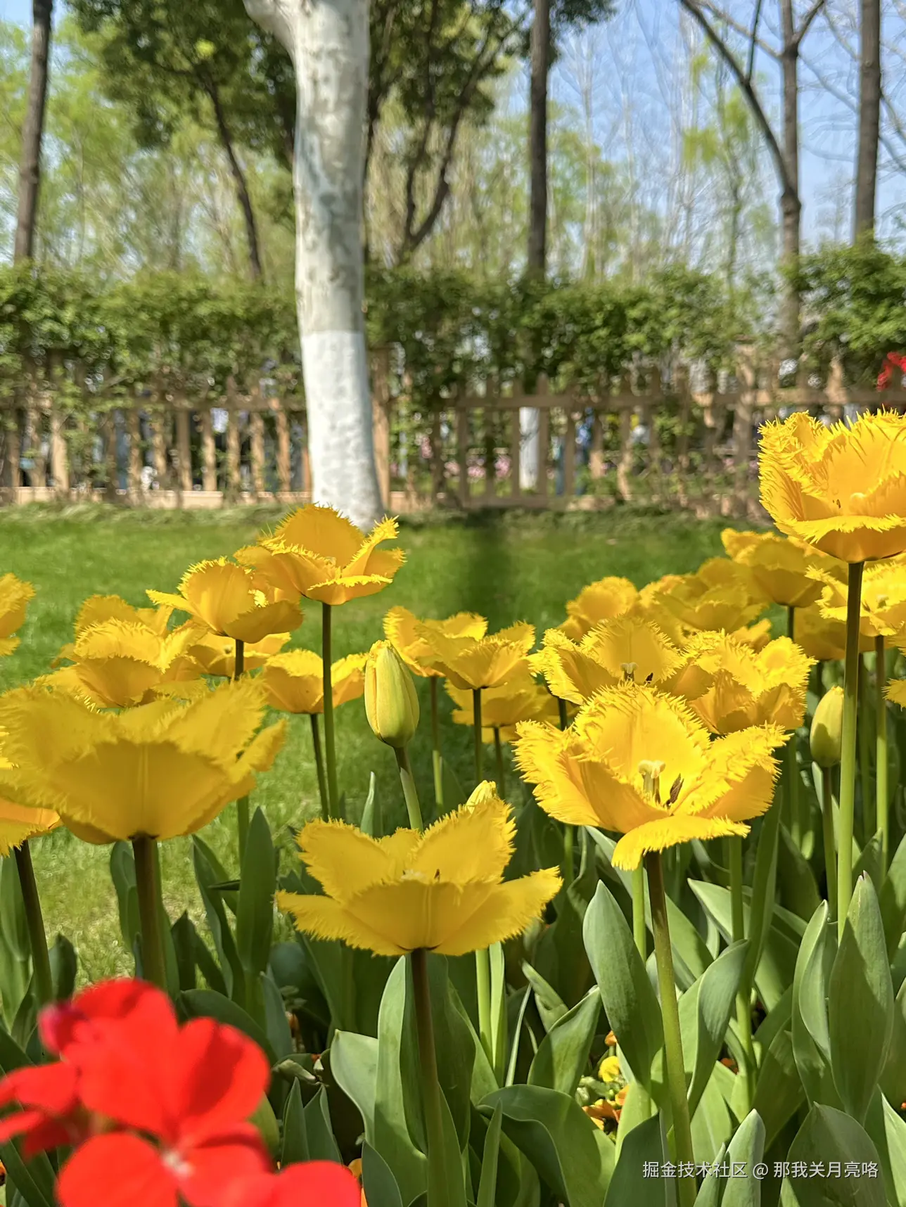 那我关月亮咯于2025-03-24 09:35发布的图片