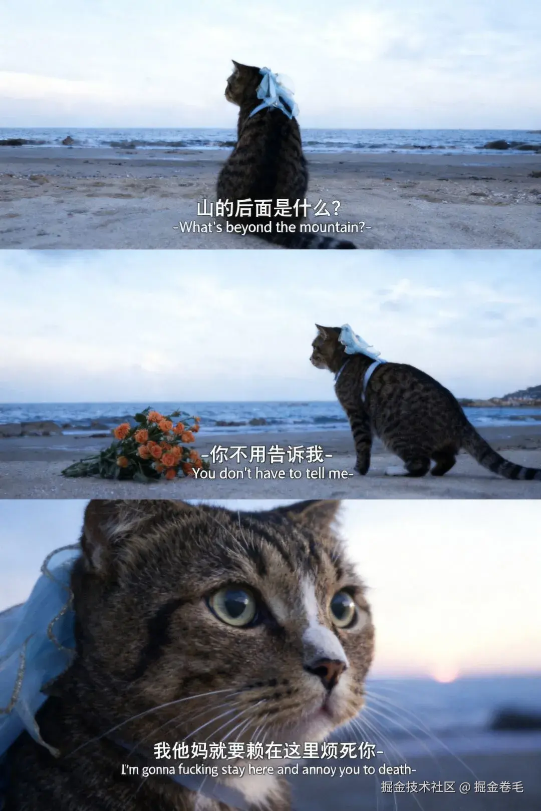 掘金卷毛于2025-10-24 10:12发布的图片
