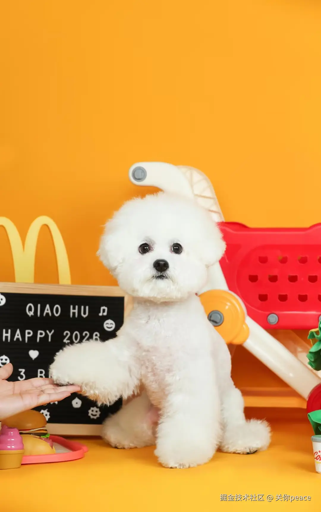 关你peace于2026-04-15 10:48发布的图片