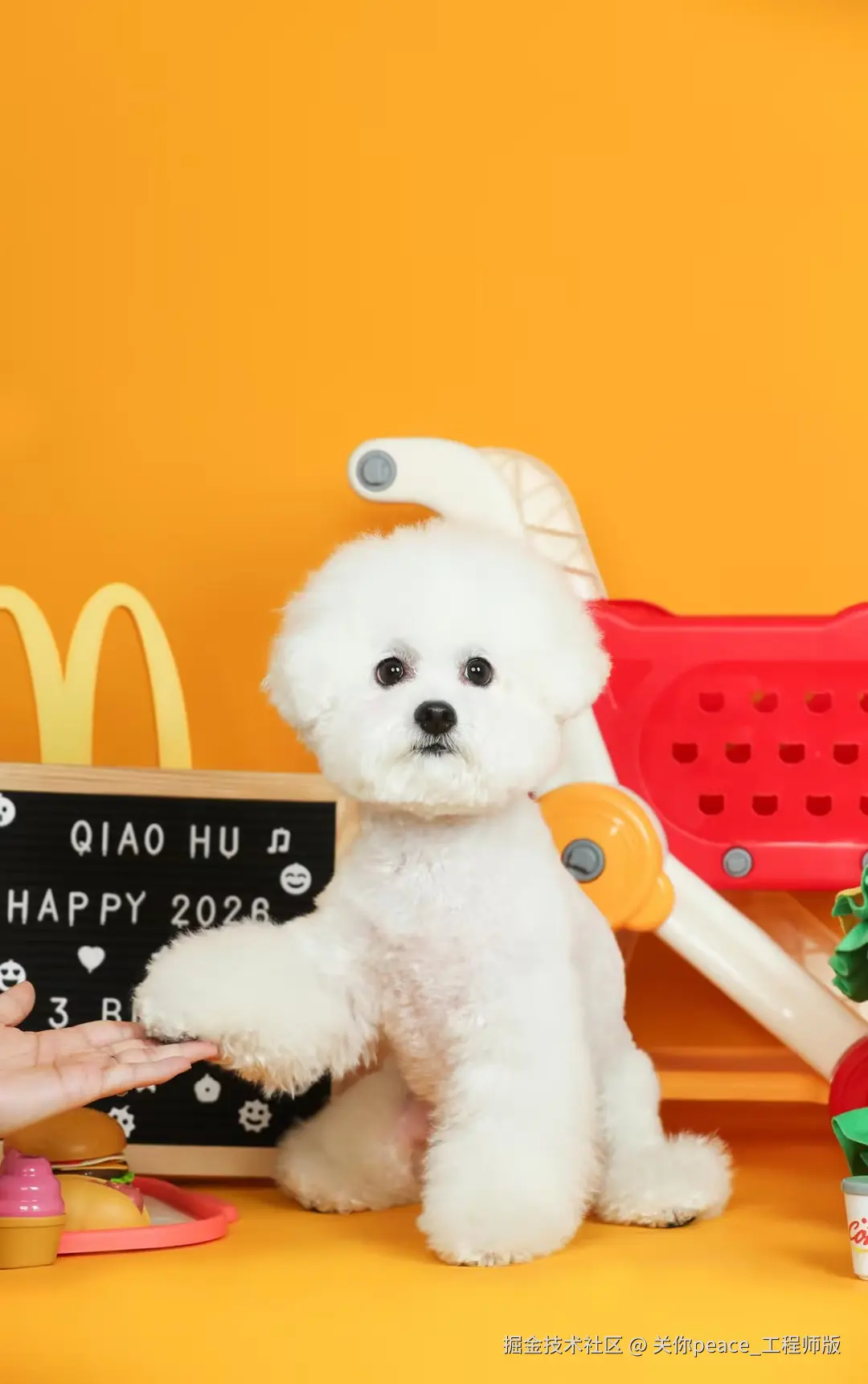 关你peace_工程师版于2026-04-15 10:48发布的图片