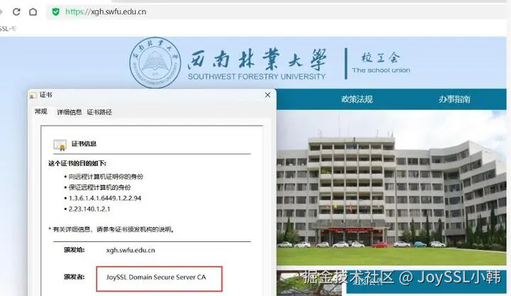 JoySSL小韩于2025-07-07 20:59发布的图片
