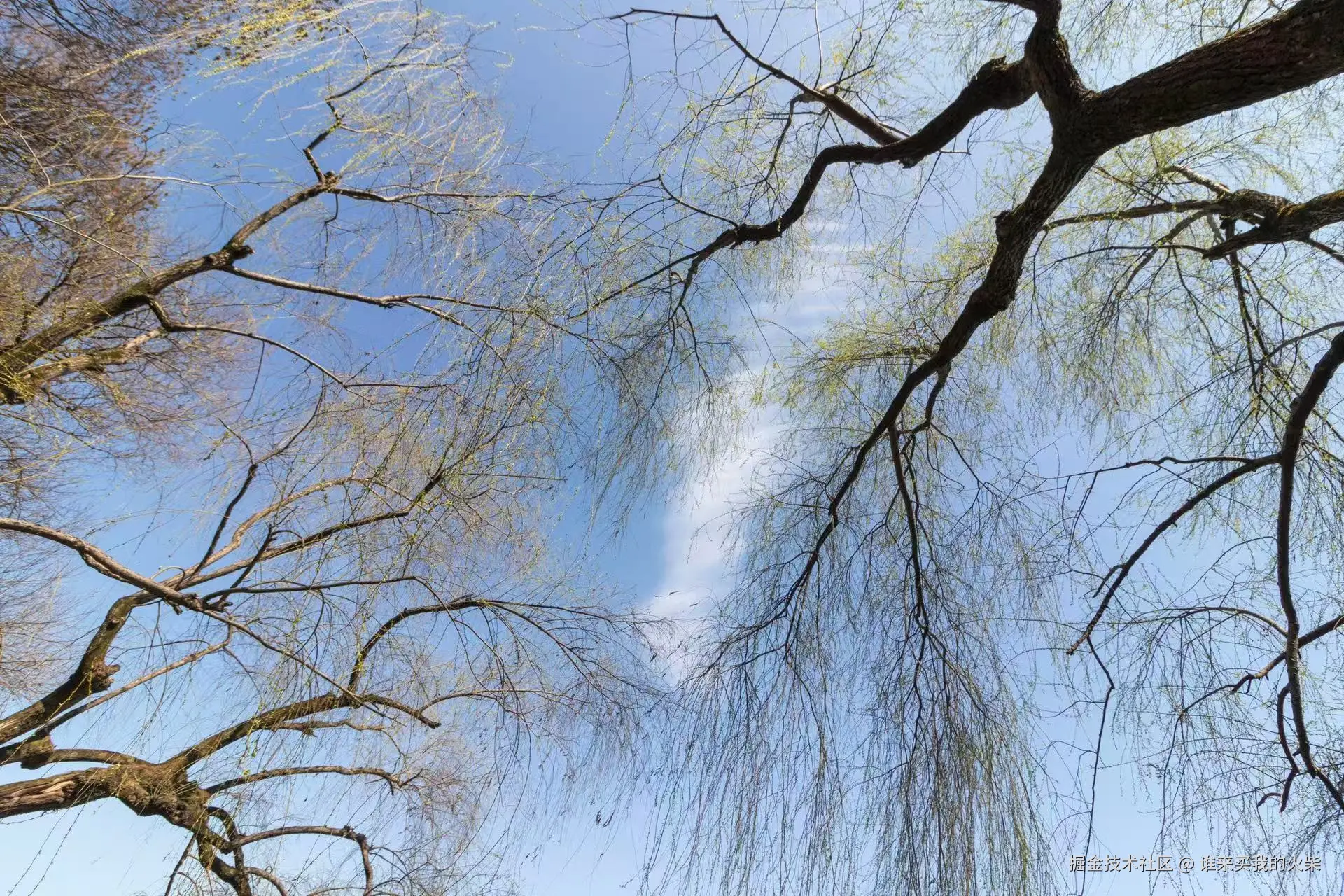 谁来买我的火柴于2024-10-31 17:10发布的图片