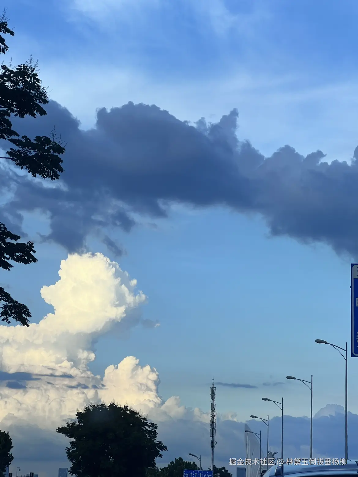 林黛玉倒拔垂杨柳于2025-07-01 11:13发布的图片