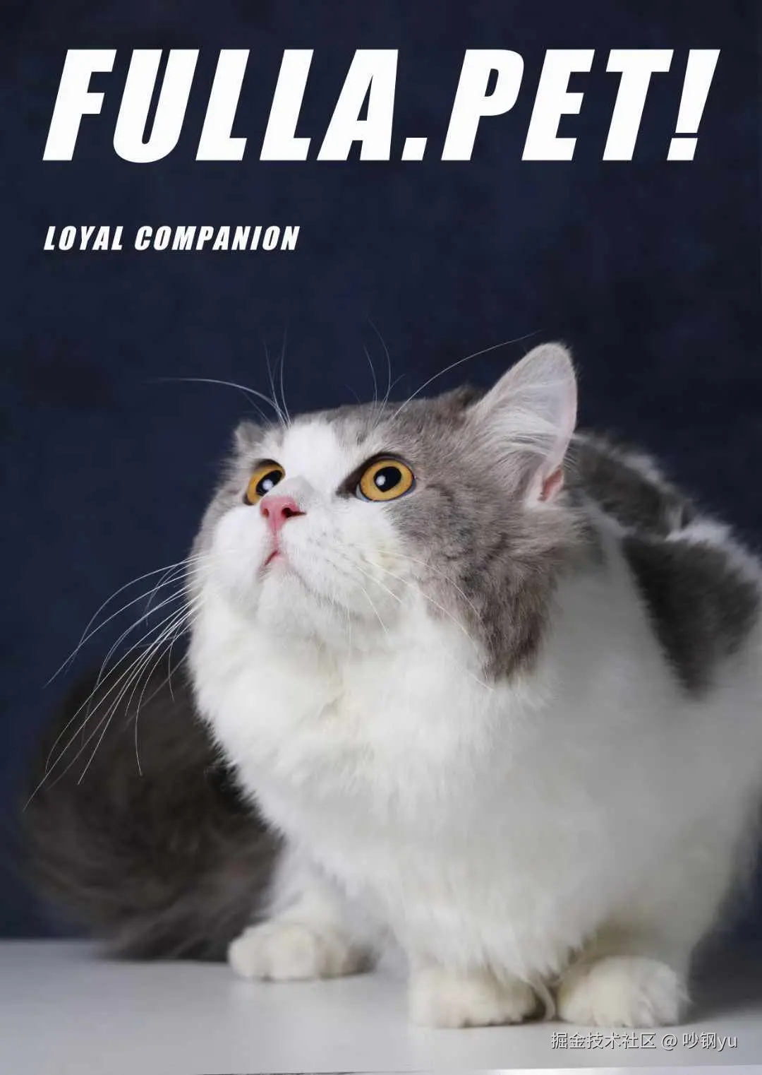 吵钢yu于2024-11-04 08:10发布的图片