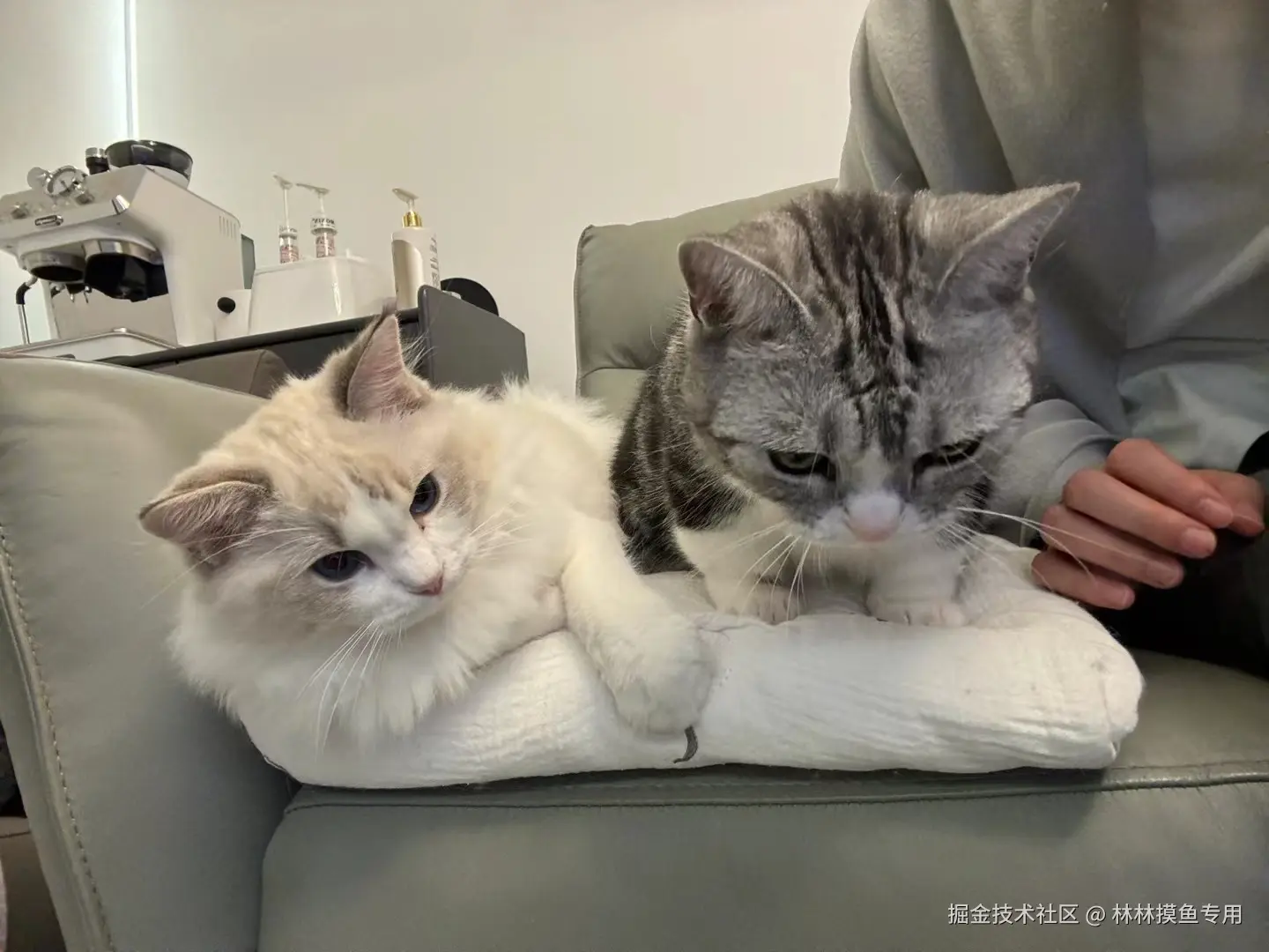 林林摸鱼专用于2024-09-27 09:46发布的图片