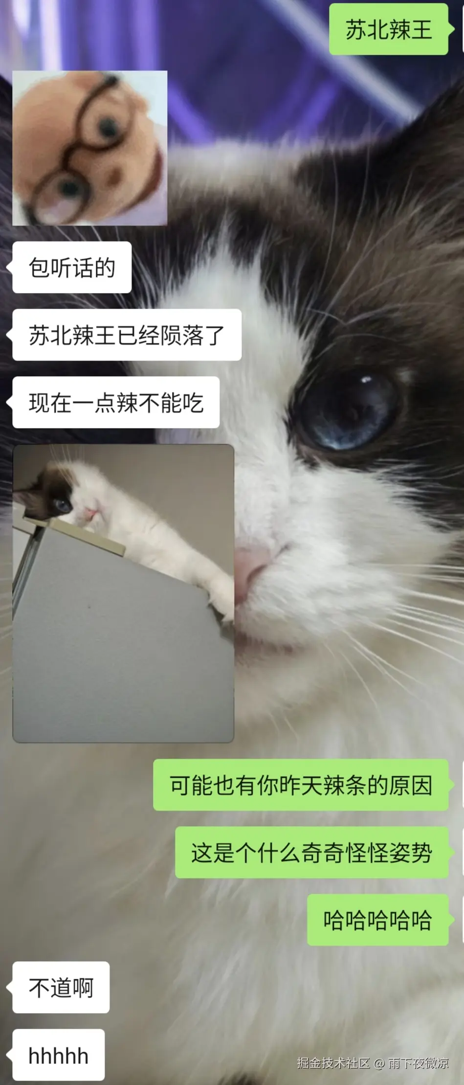 雨下夜微凉于2026-04-01 08:45发布的图片