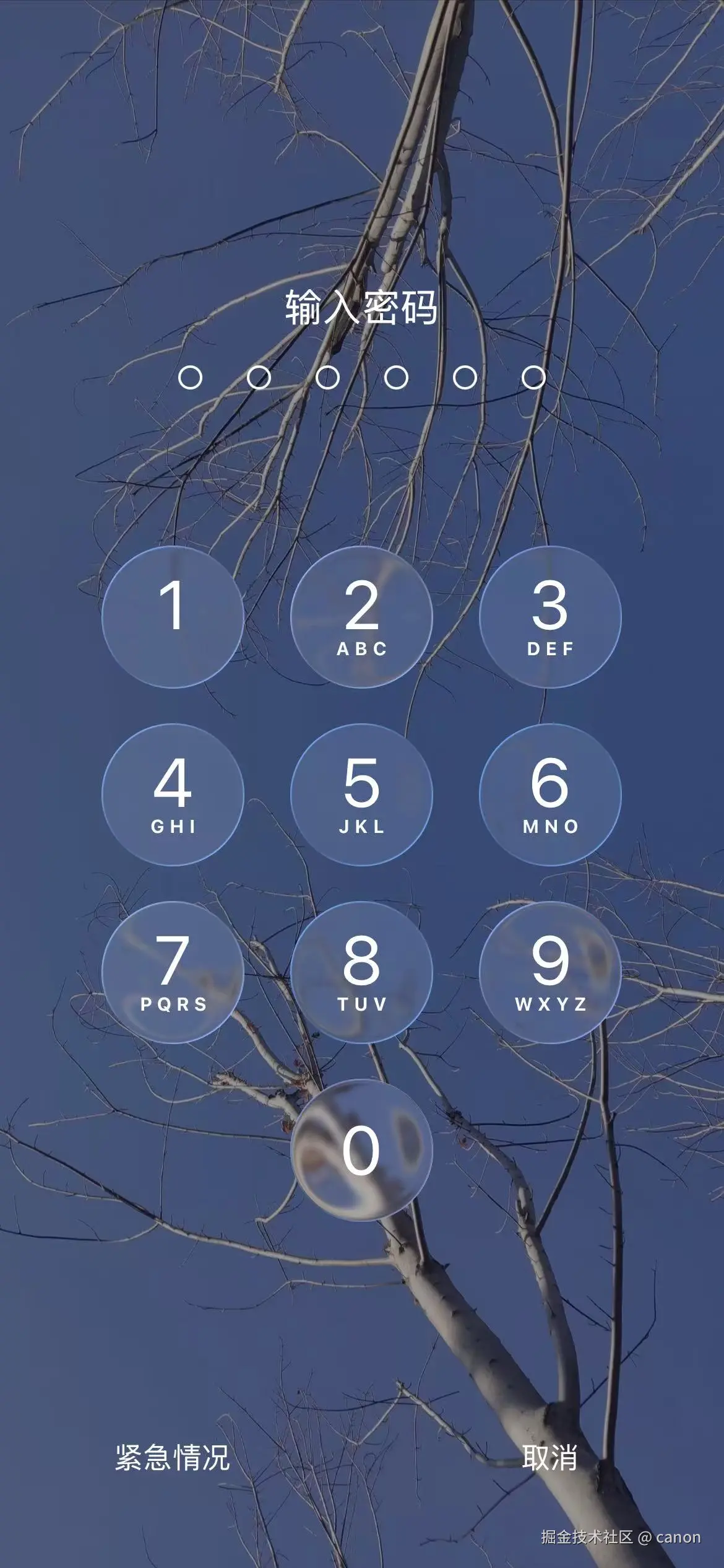 canon于2026-01-09 10:48发布的图片