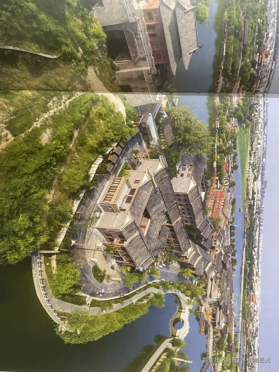 植物昂光于2026-04-12 18:12发布的图片