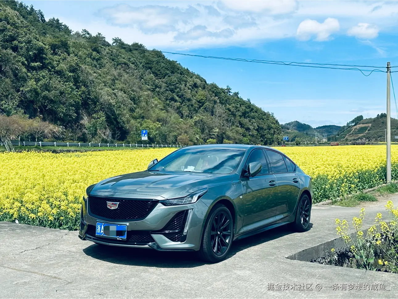 一条有梦想的咸鱼_于2025-02-18 15:22发布的图片