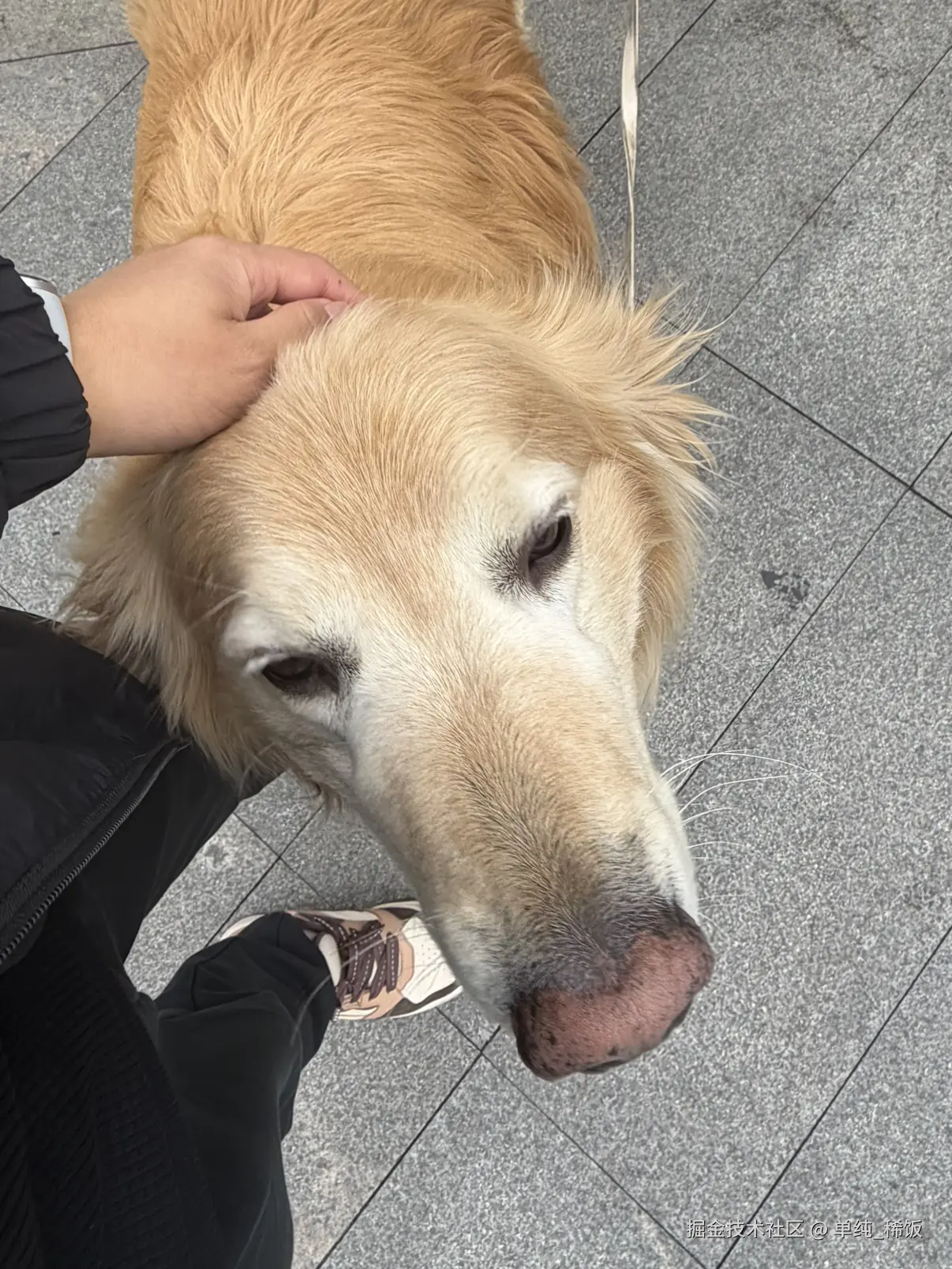 单纯_稀饭于2026-03-27 10:35发布的图片