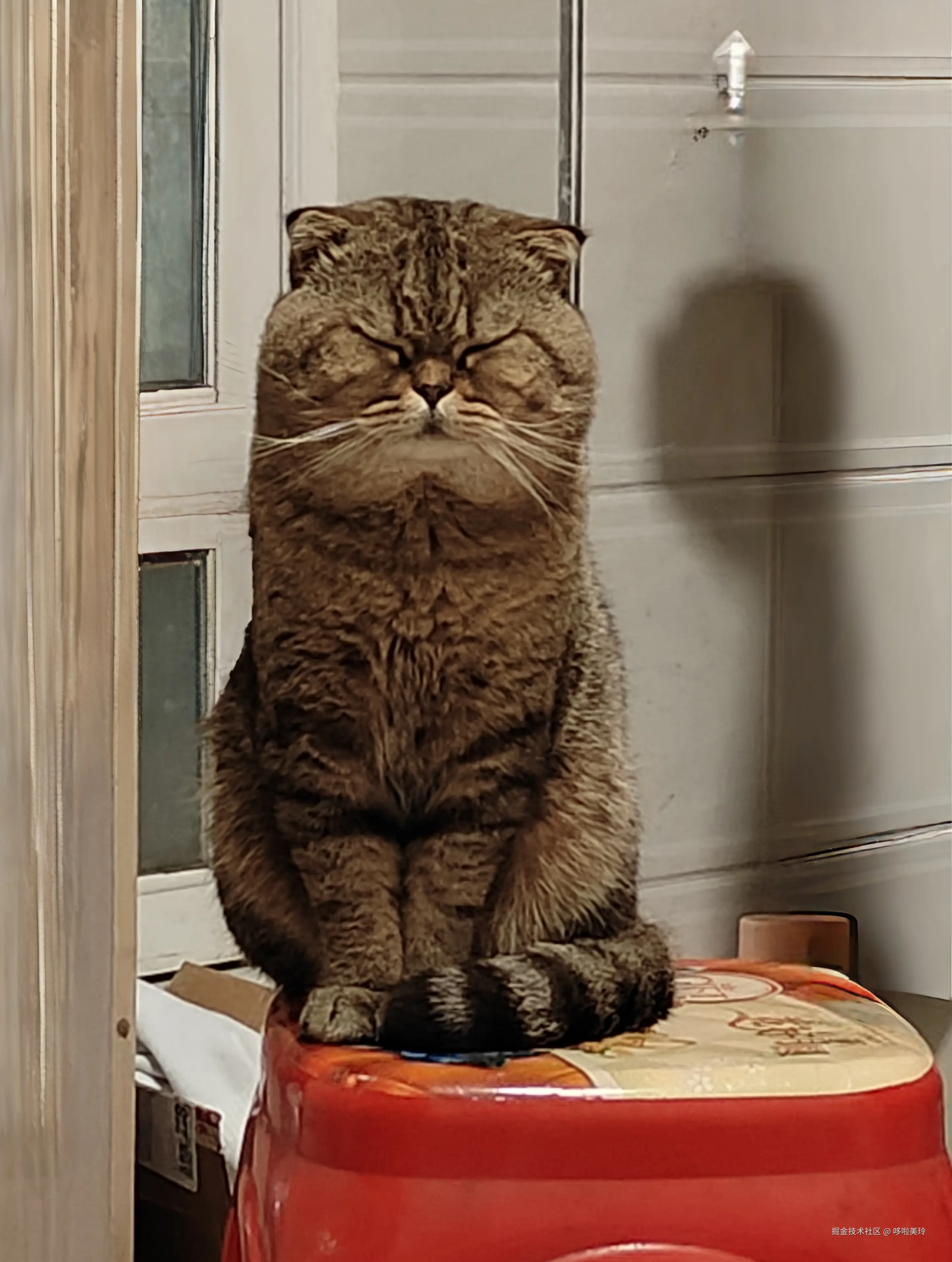 哆啦美玲于2024-12-05 00:01发布的图片