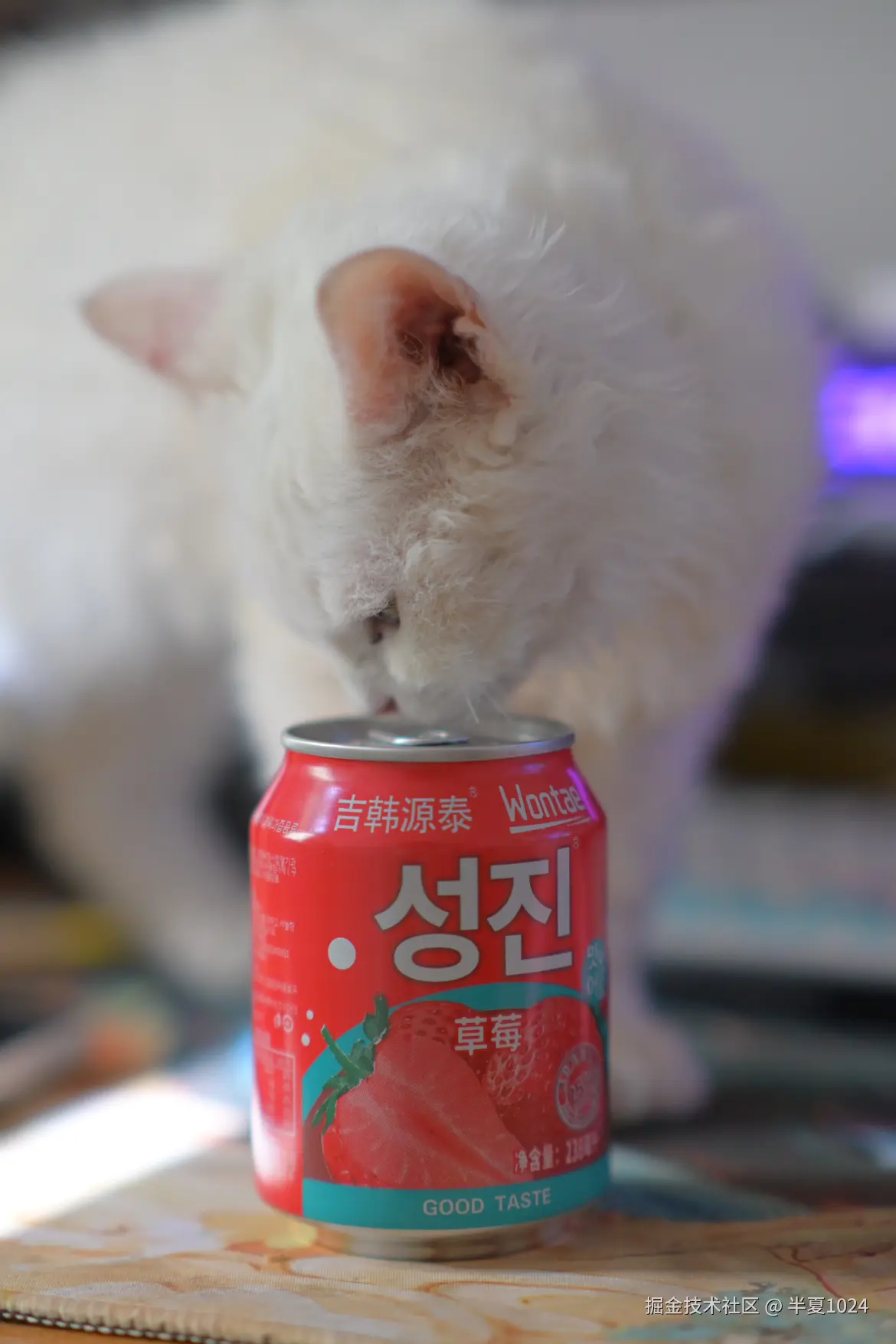 半夏1024于2024-12-31 15:47发布的图片