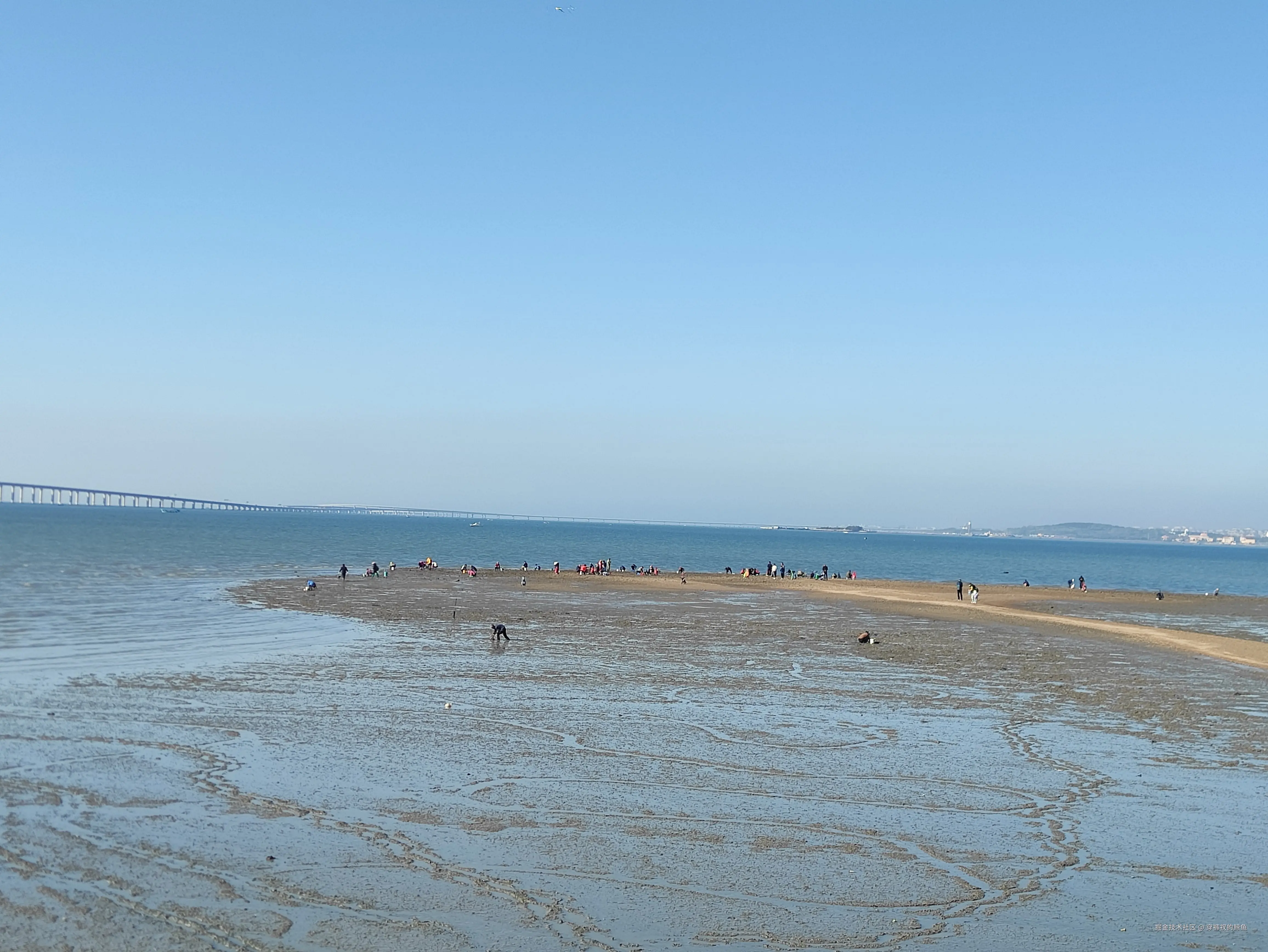 穿裤衩的鲸鱼于2024-11-05 11:28发布的图片