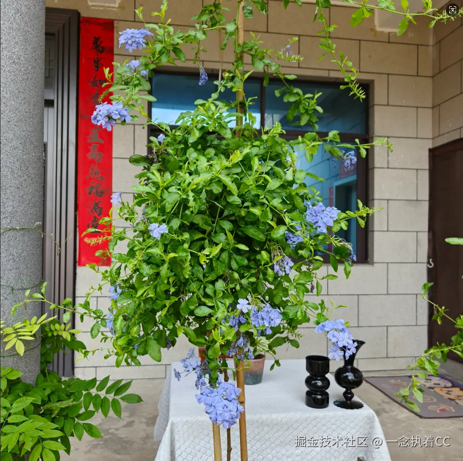 一念执着CC于2025-11-28 14:25发布的图片