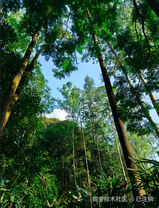 已注销于2024-08-05 15:35发布的图片