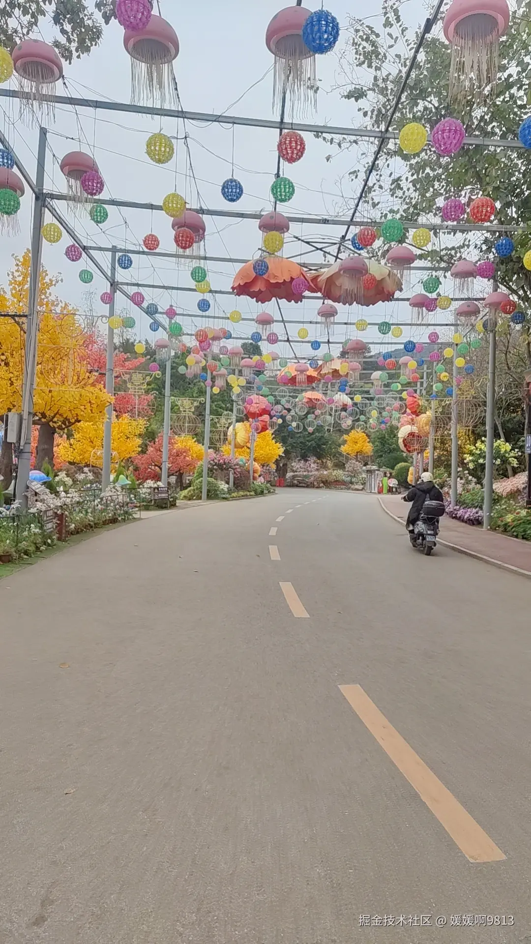 媛媛啊9813于2025-03-09 01:49发布的图片