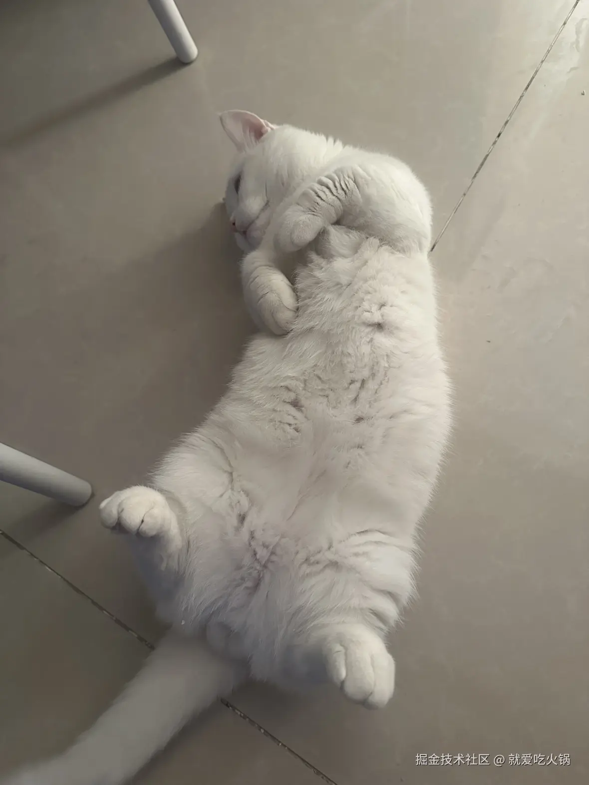 就爱吃火锅于2025-12-12 07:20发布的图片