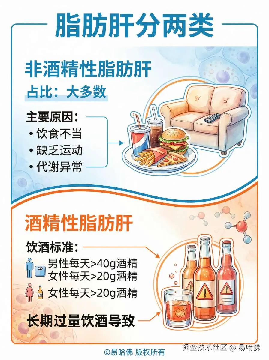 易哈佛于2025-12-29 16:11发布的图片