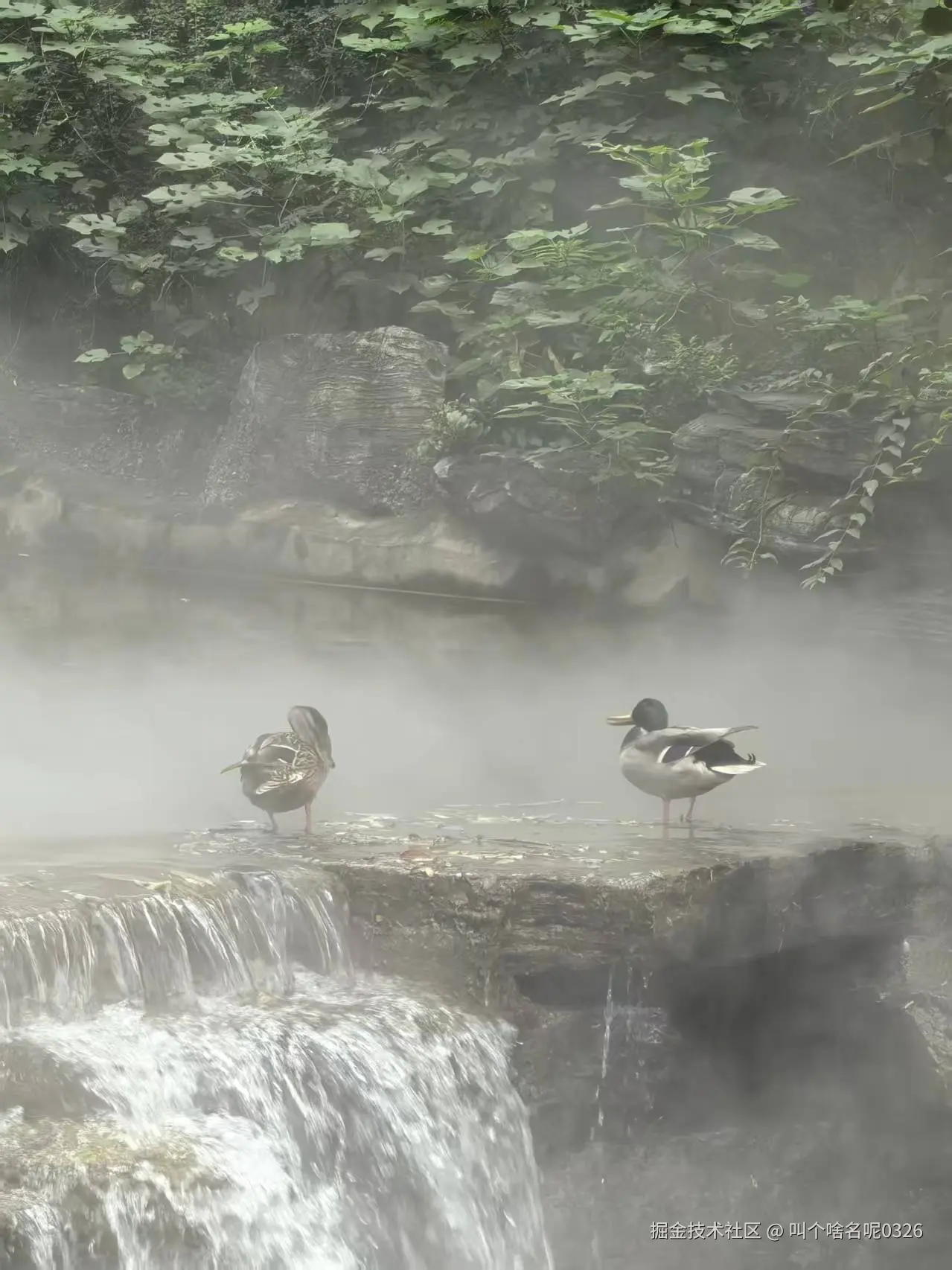 叫个啥名呢0326于2025-09-30 10:10发布的图片