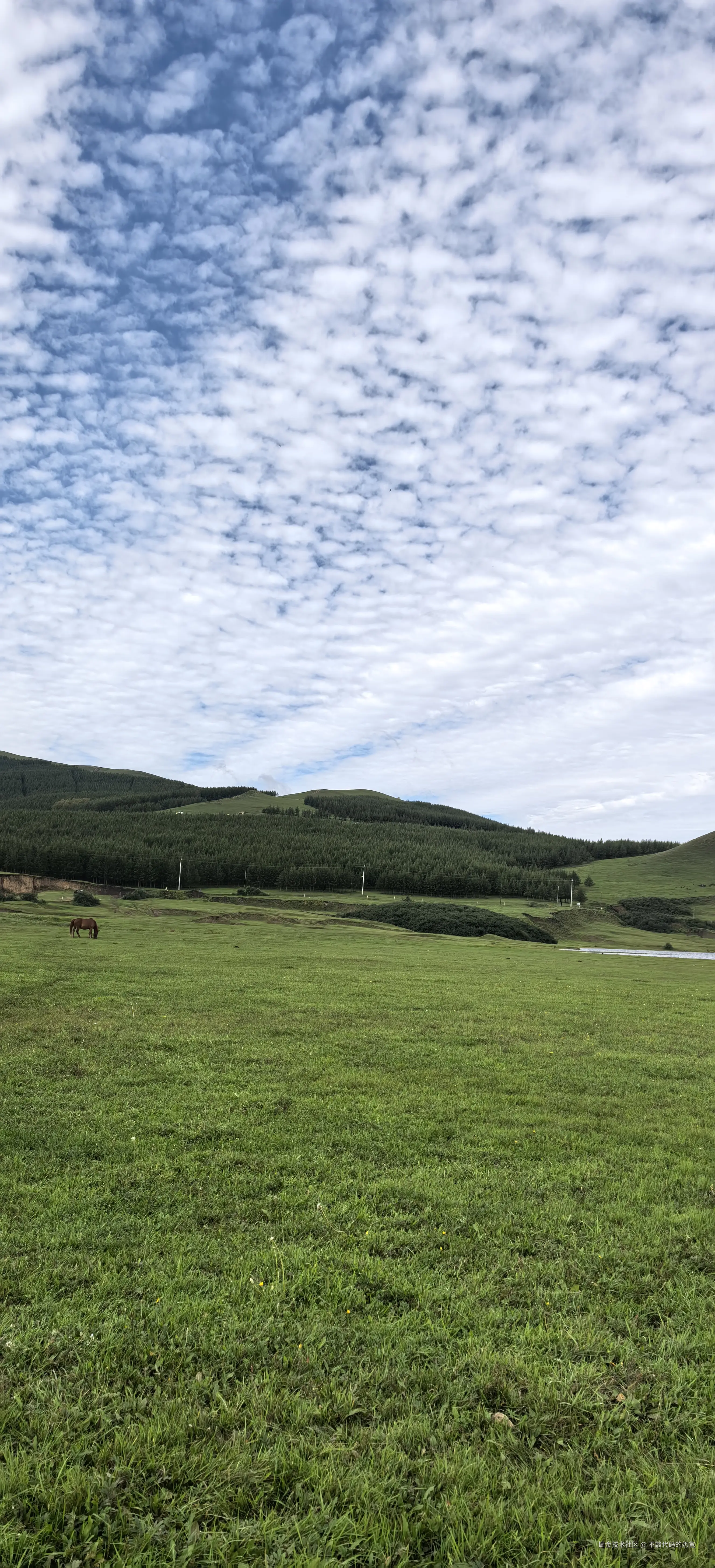 不敲代码的奶爸于2024-09-02 07:36发布的图片