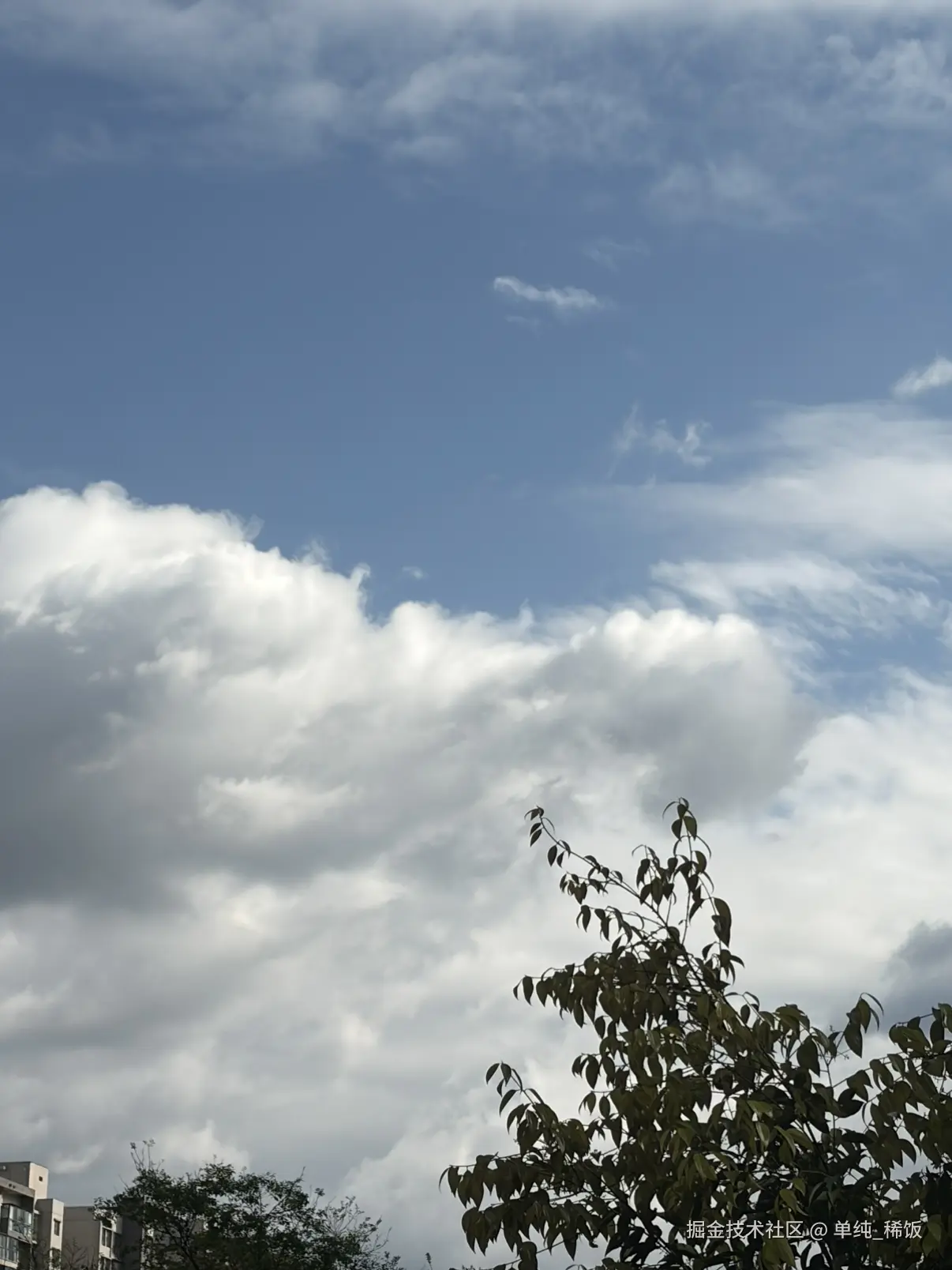 单纯_稀饭于2026-03-17 16:12发布的图片