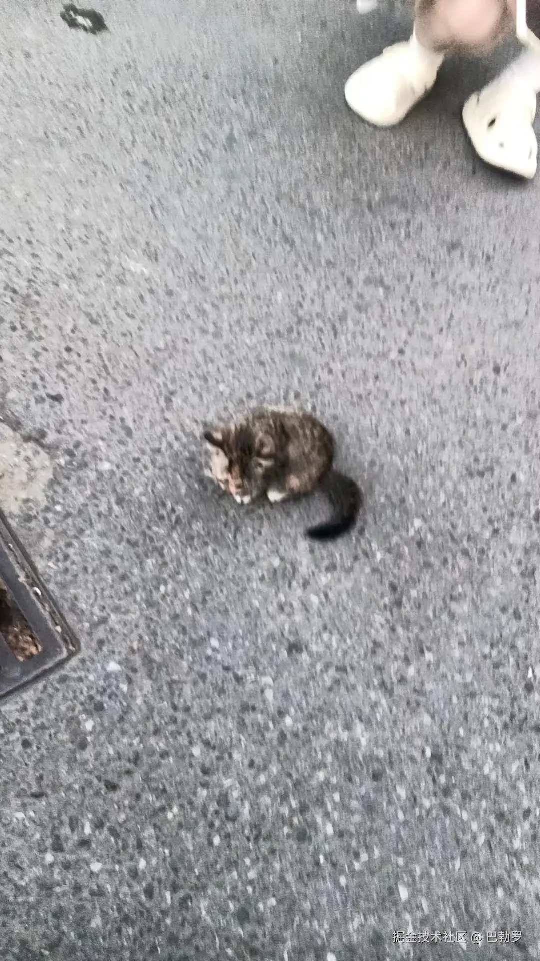 巴勃罗于2025-03-28 11:15发布的图片