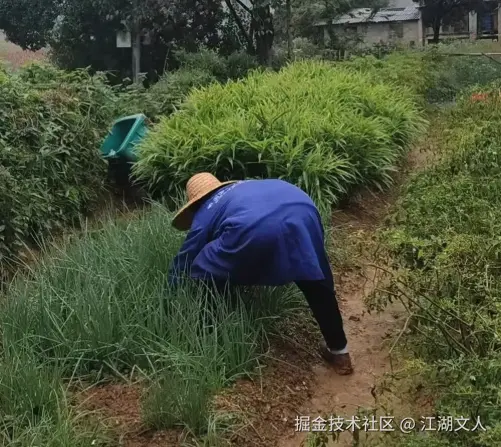 江湖文人于2025-11-17 18:08发布的图片