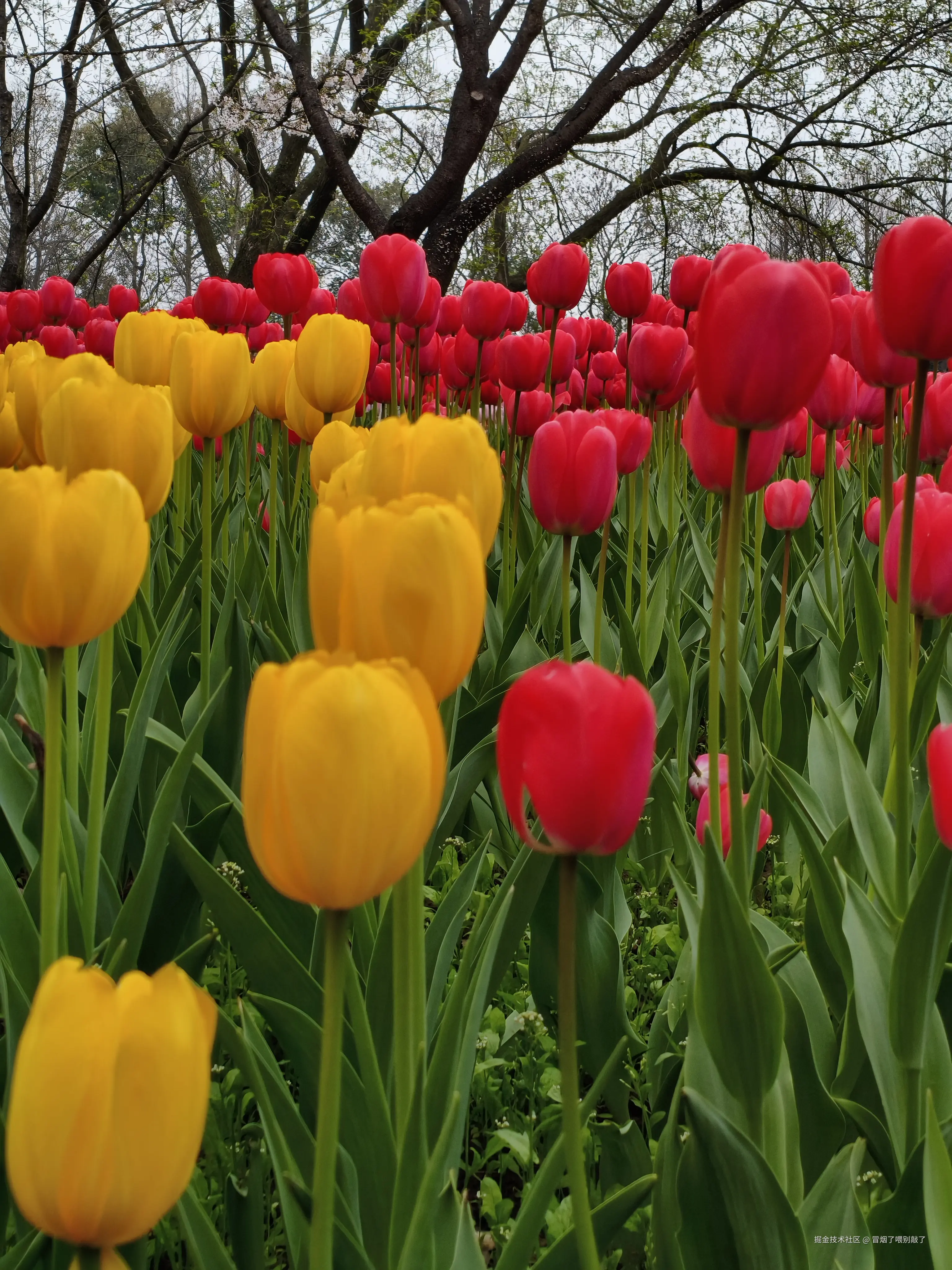 冒烟了喂别敲了于2026-03-23 12:05发布的图片