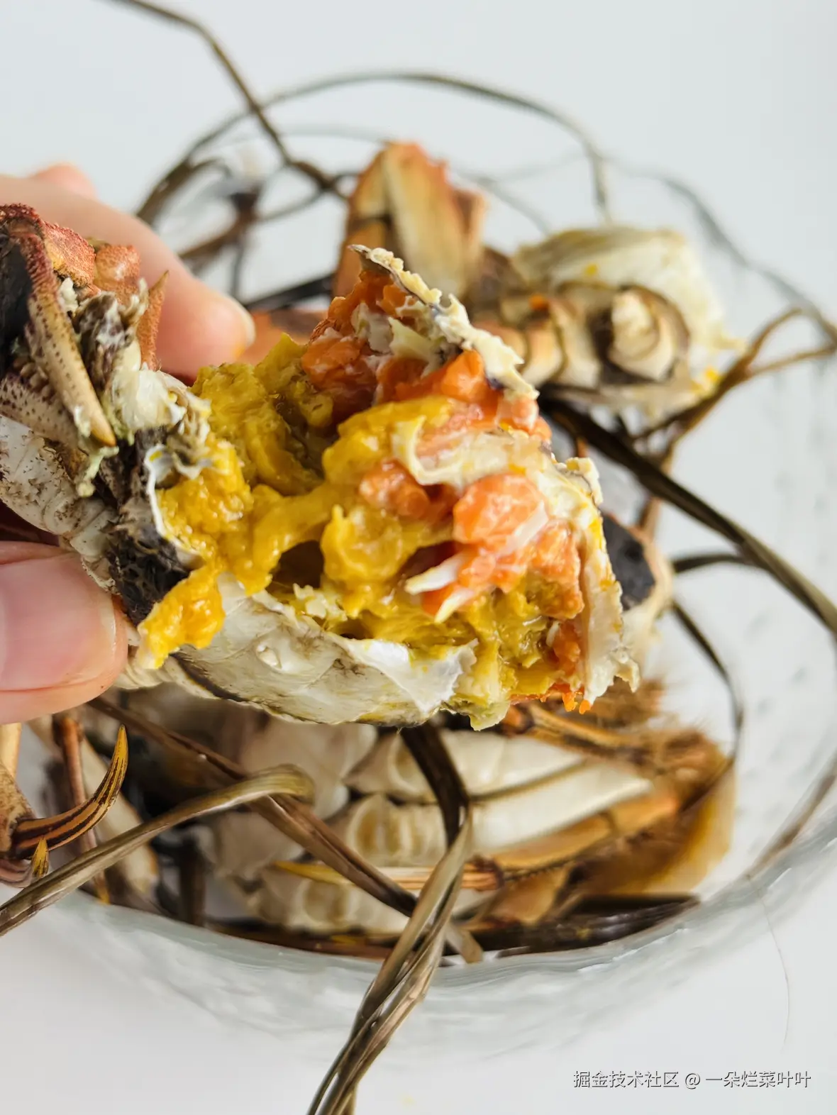 一朵烂菜叶叶于2025-11-06 05:07发布的图片