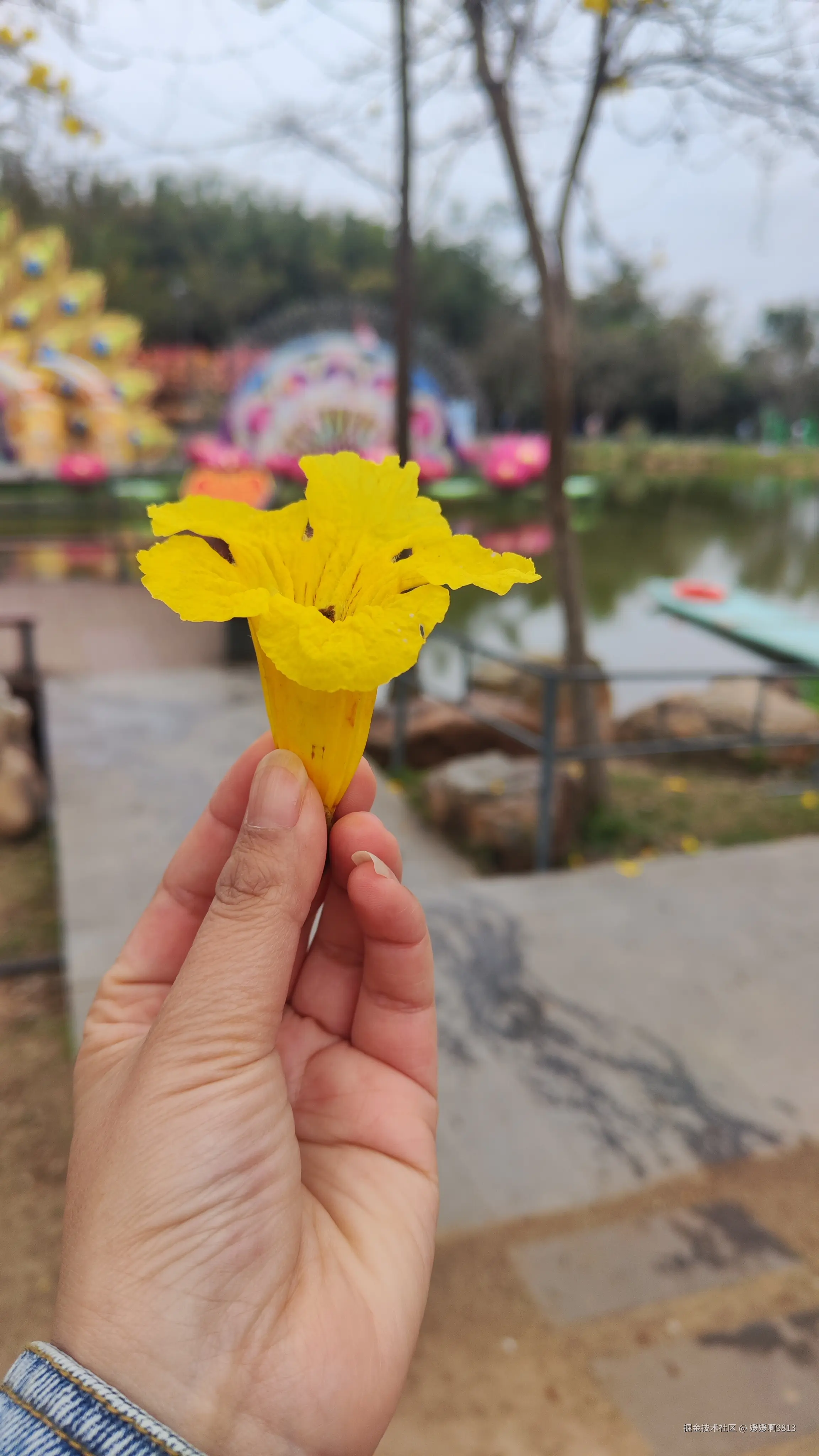 媛媛啊9813于2025-03-09 01:49发布的图片