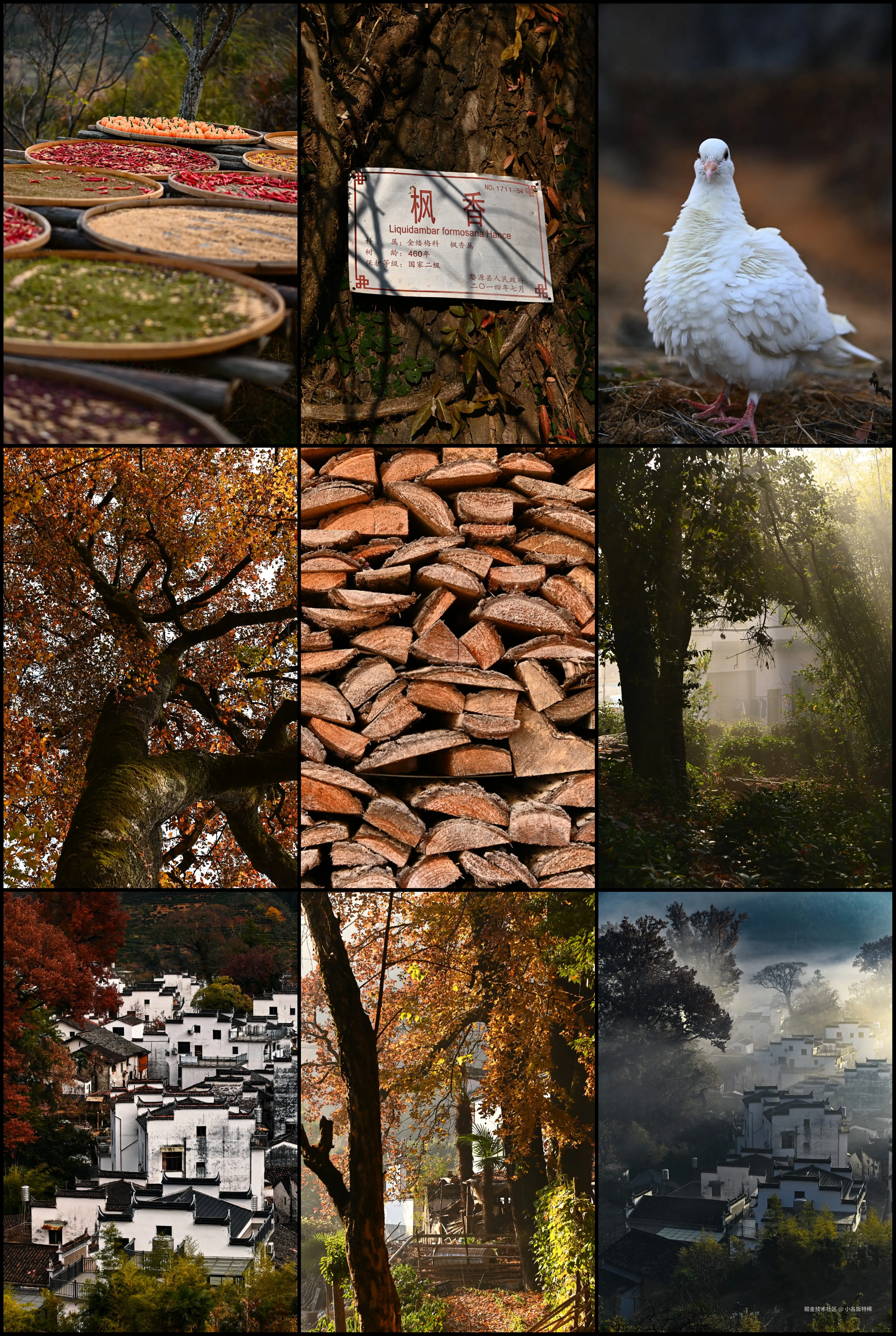 小名饭特稀于2025-12-10 10:41发布的图片