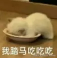 whitee于2025-09-17 11:46发布的图片