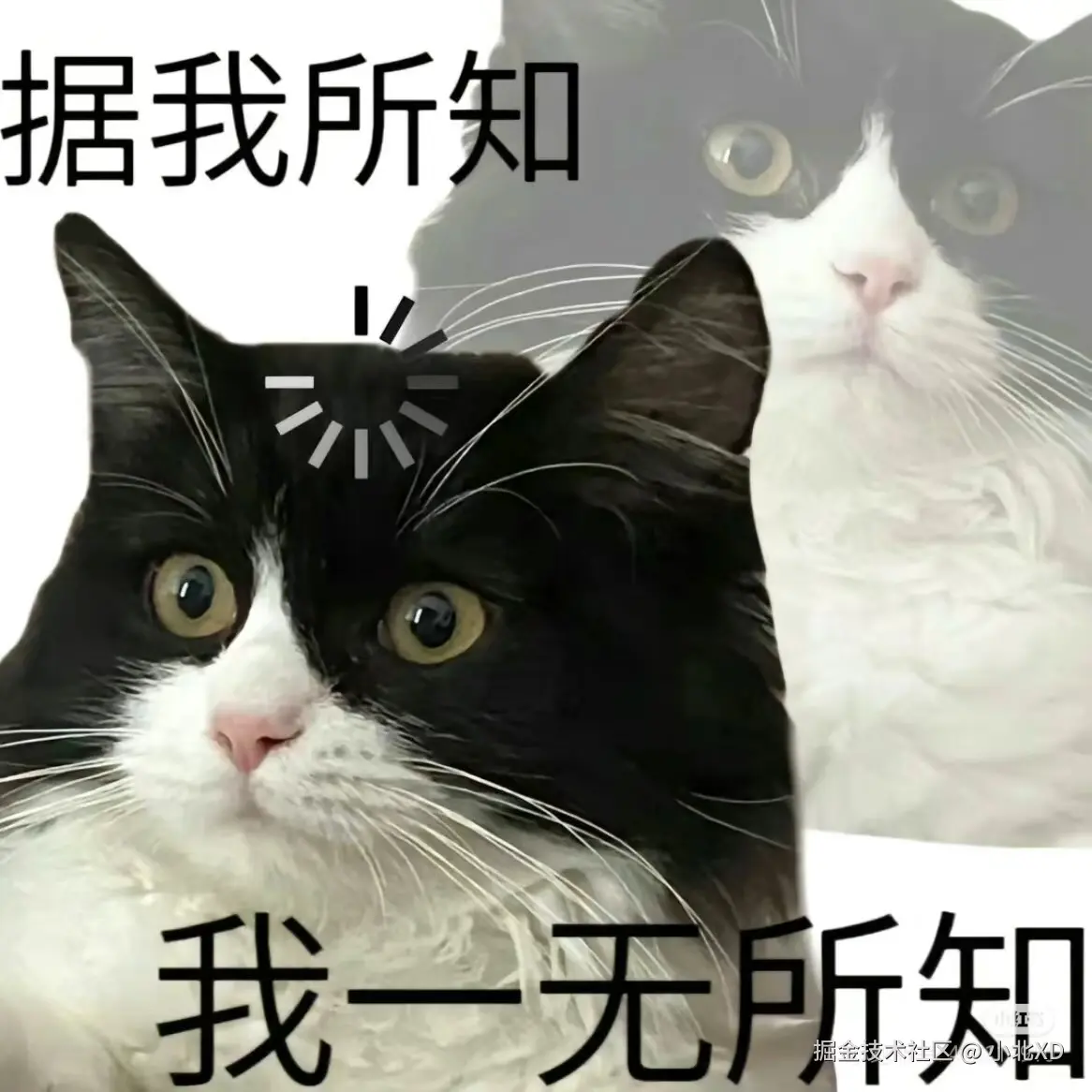 小北XD于2024-08-22 19:39发布的图片