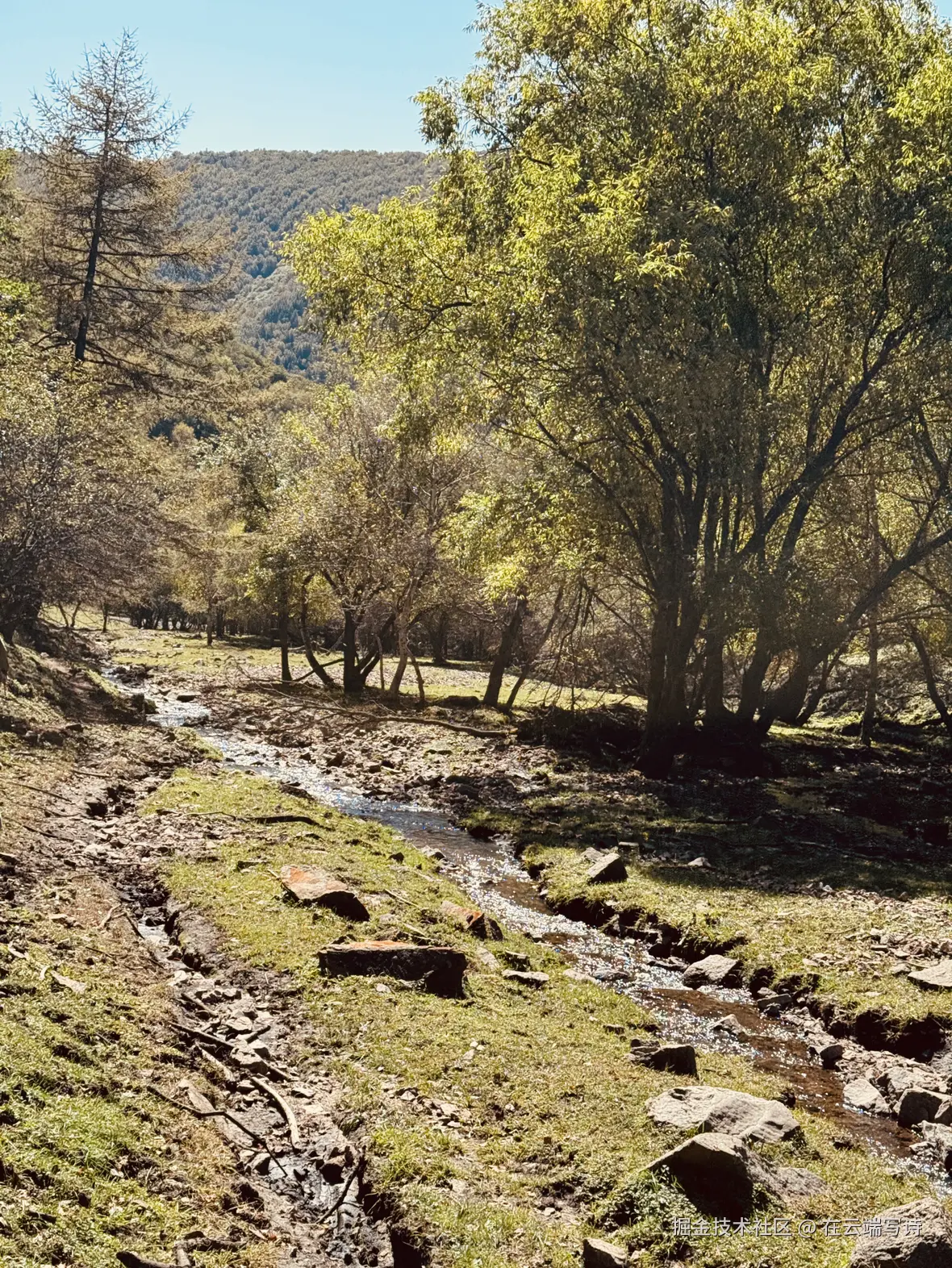 在云端写诗于2025-09-22 15:08发布的图片