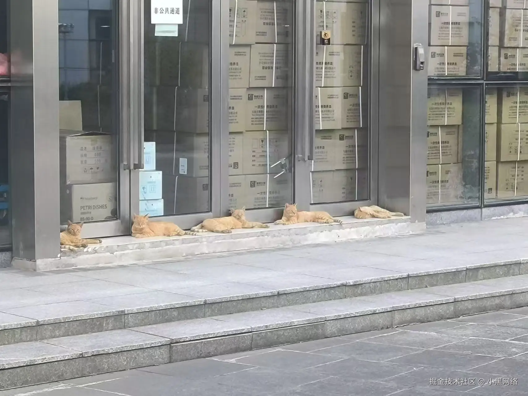 小黑网络于2024-08-09 16:31发布的图片