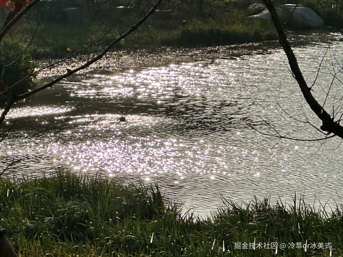 冷萃or冰美式_于2024-12-17 13:37发布的图片