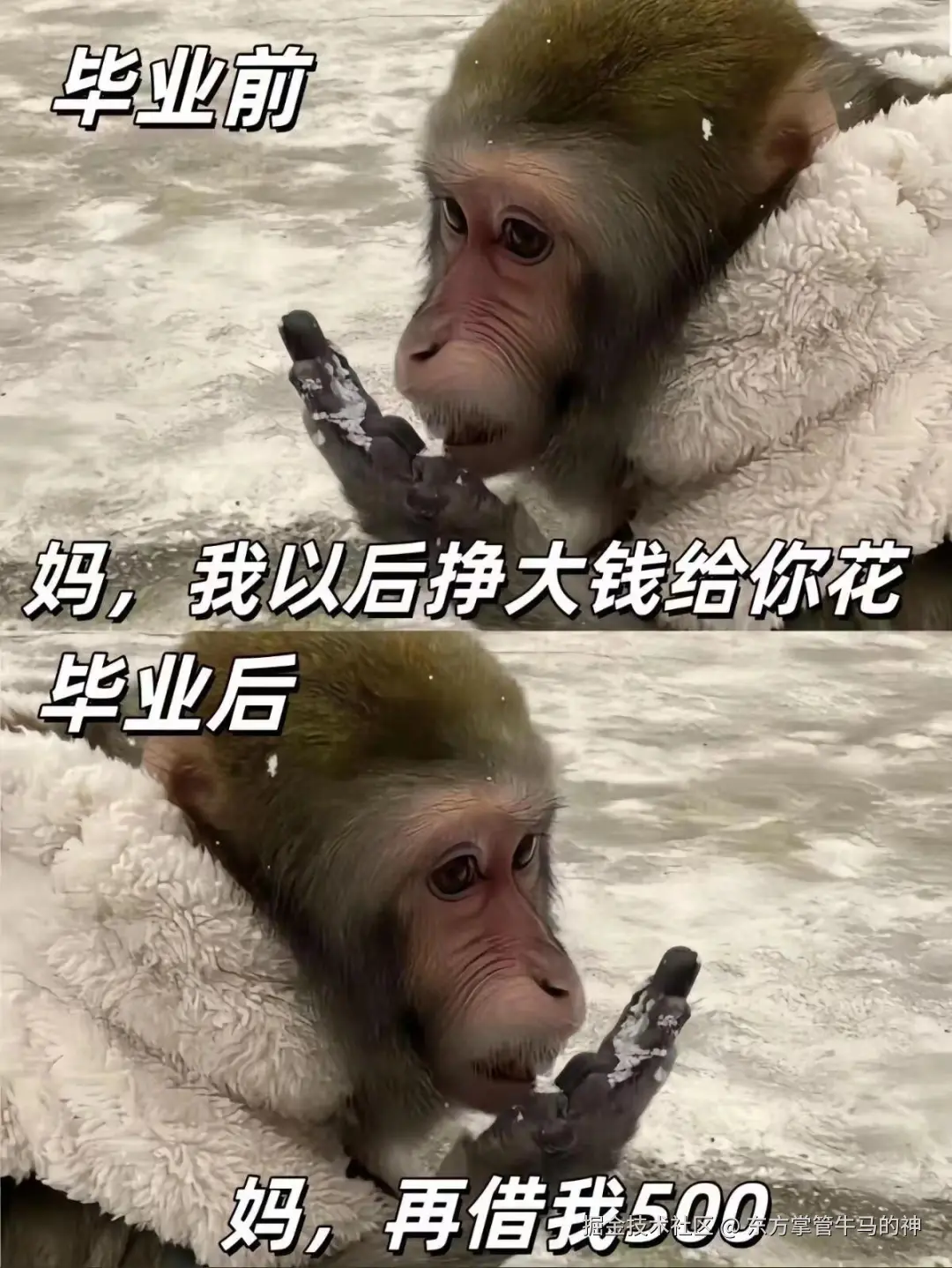 东方掌管牛马的神于2024-07-30 16:50发布的图片