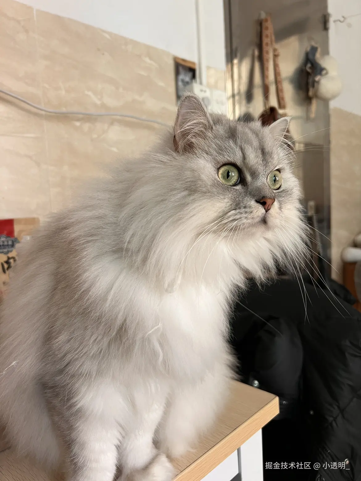 小透明_于2025-04-22 14:33发布的图片