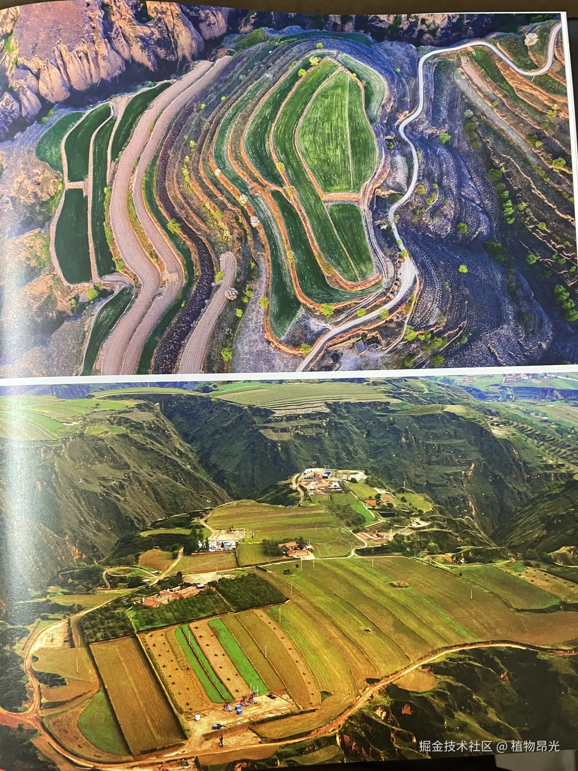 植物昂光于2026-03-24 20:49发布的图片