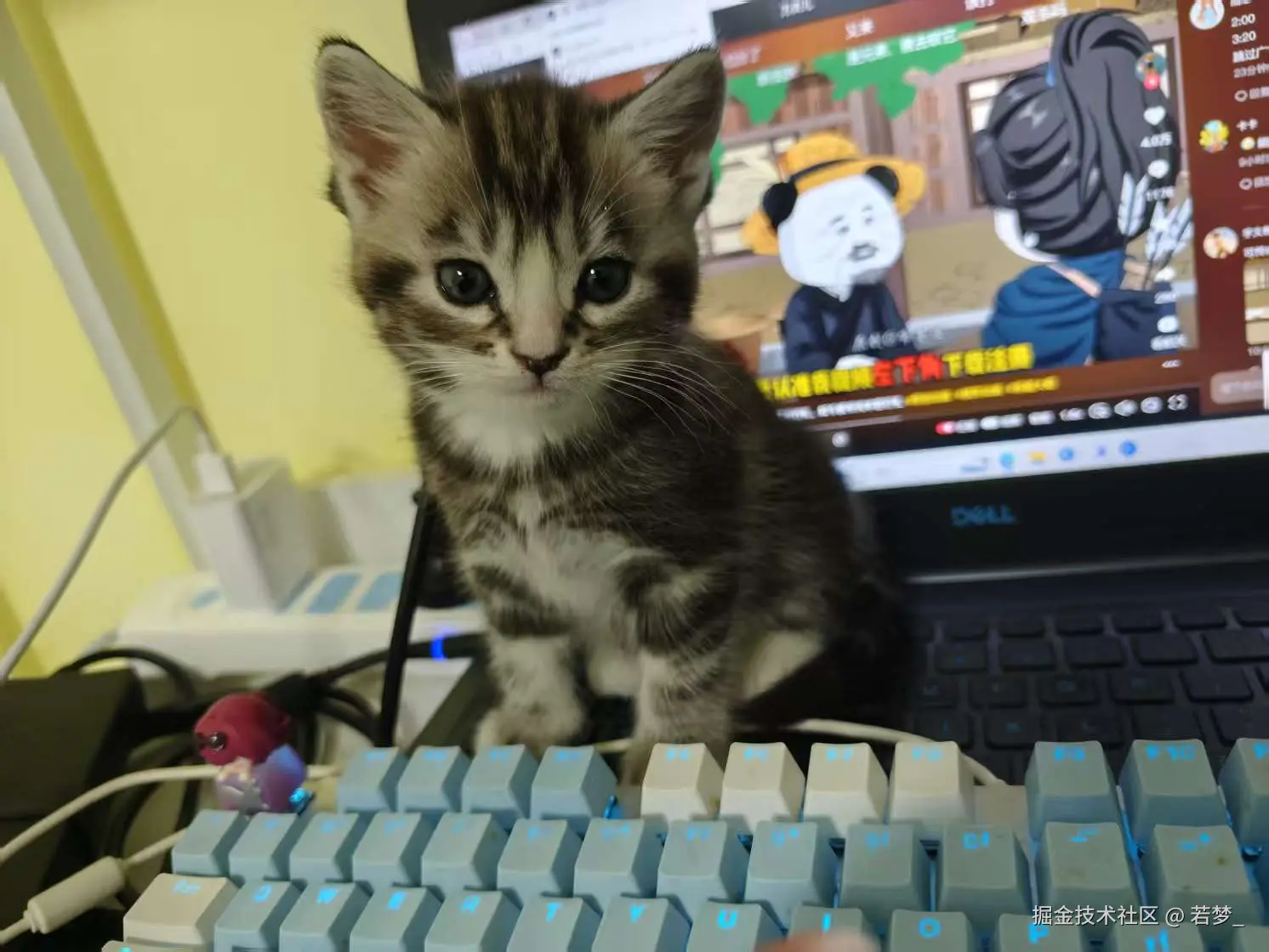 若梦_于2025-03-03 11:39发布的图片