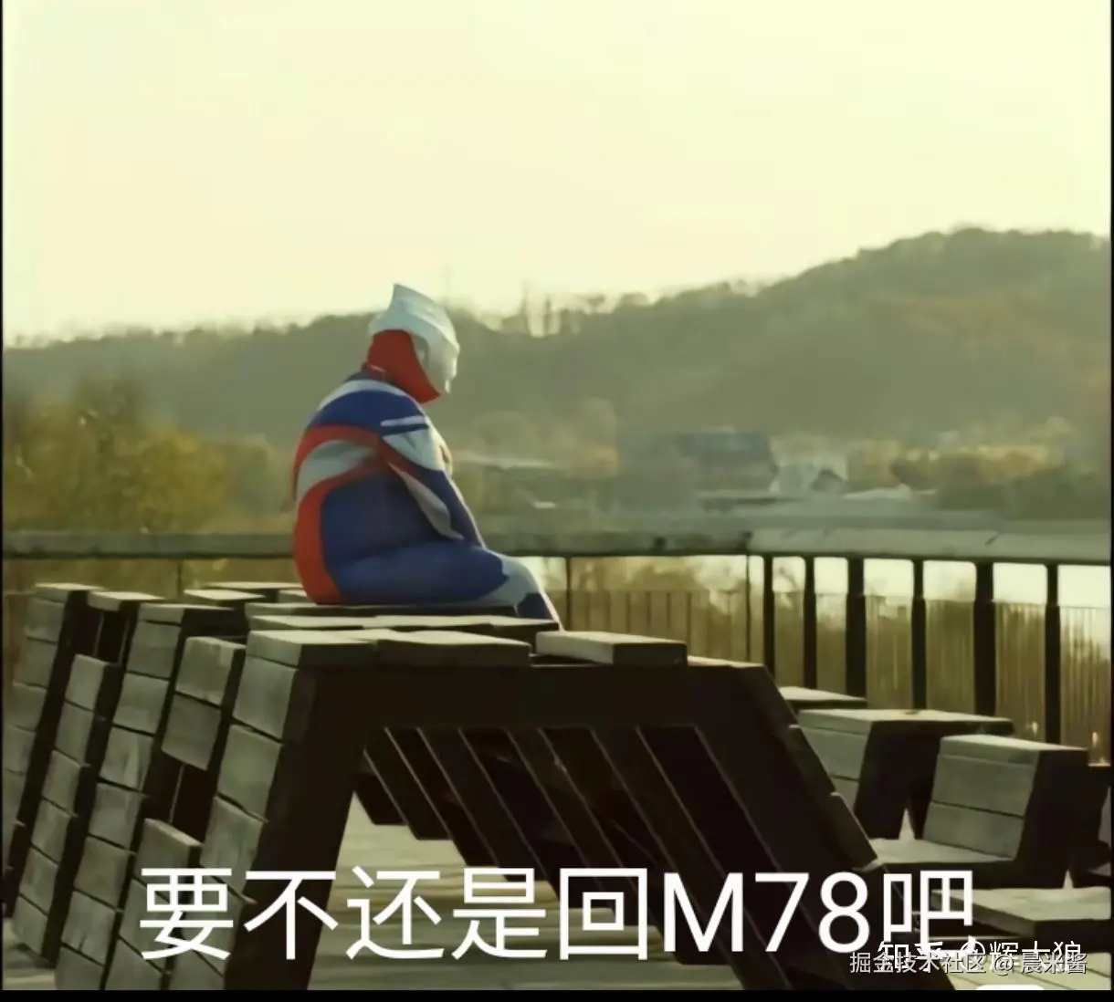 晨米酱于2024-07-18 09:59发布的图片