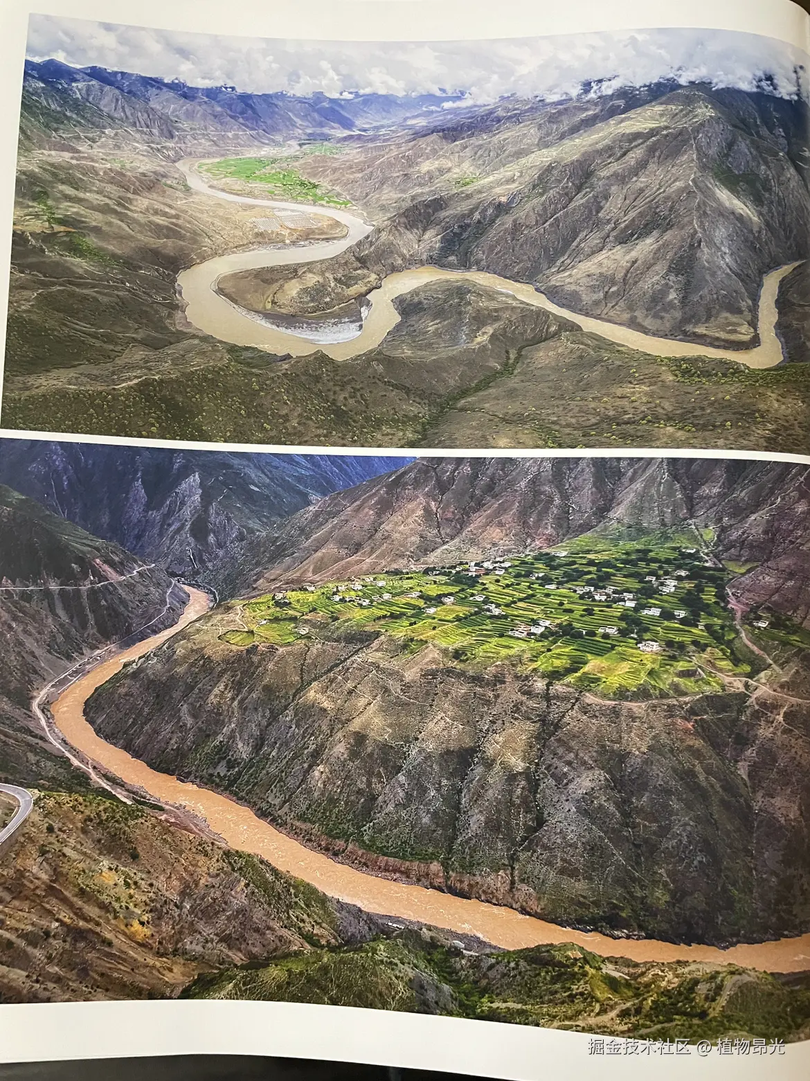 植物昂光于2026-03-06 20:07发布的图片