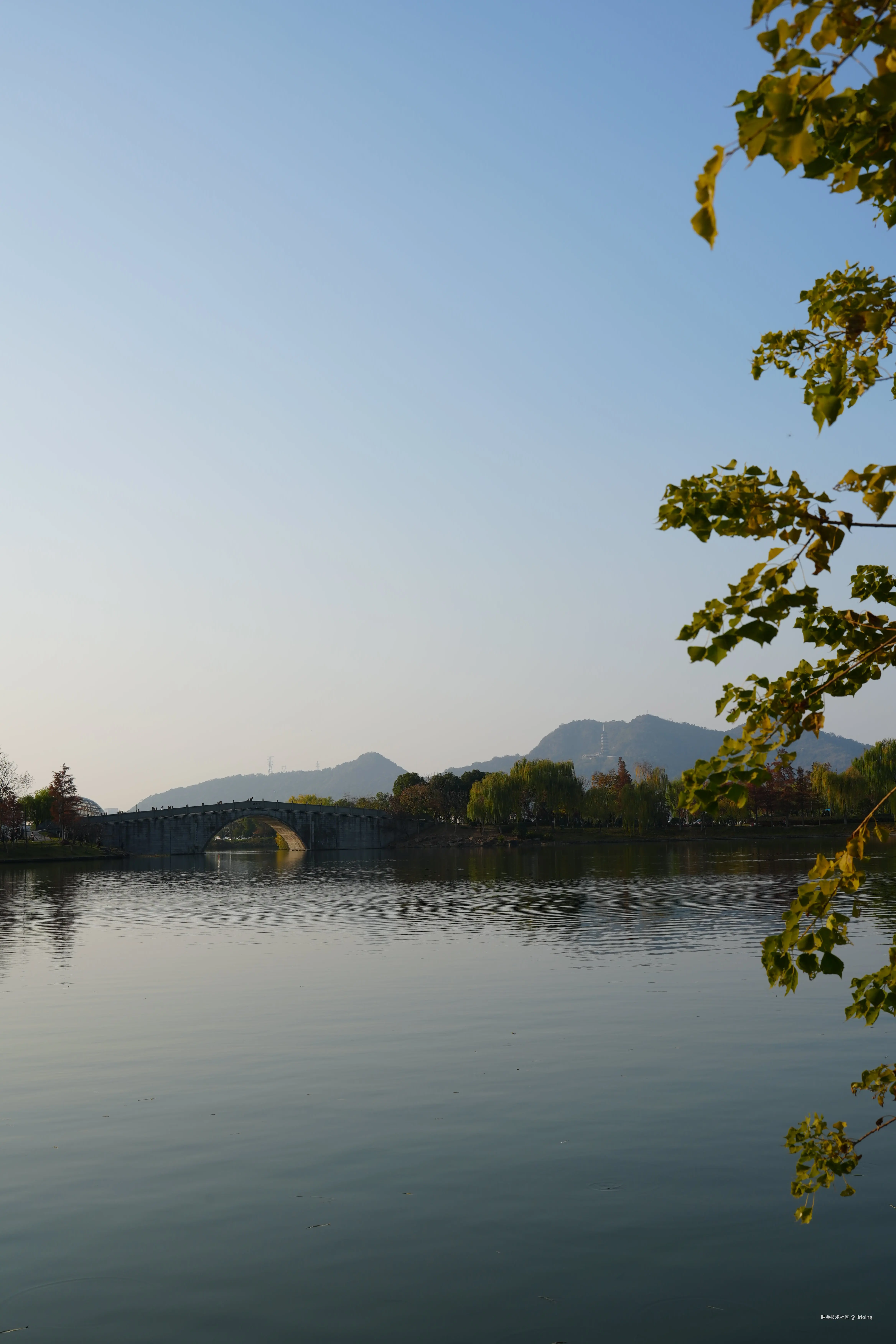 lirioing于2025-12-08 14:12发布的图片