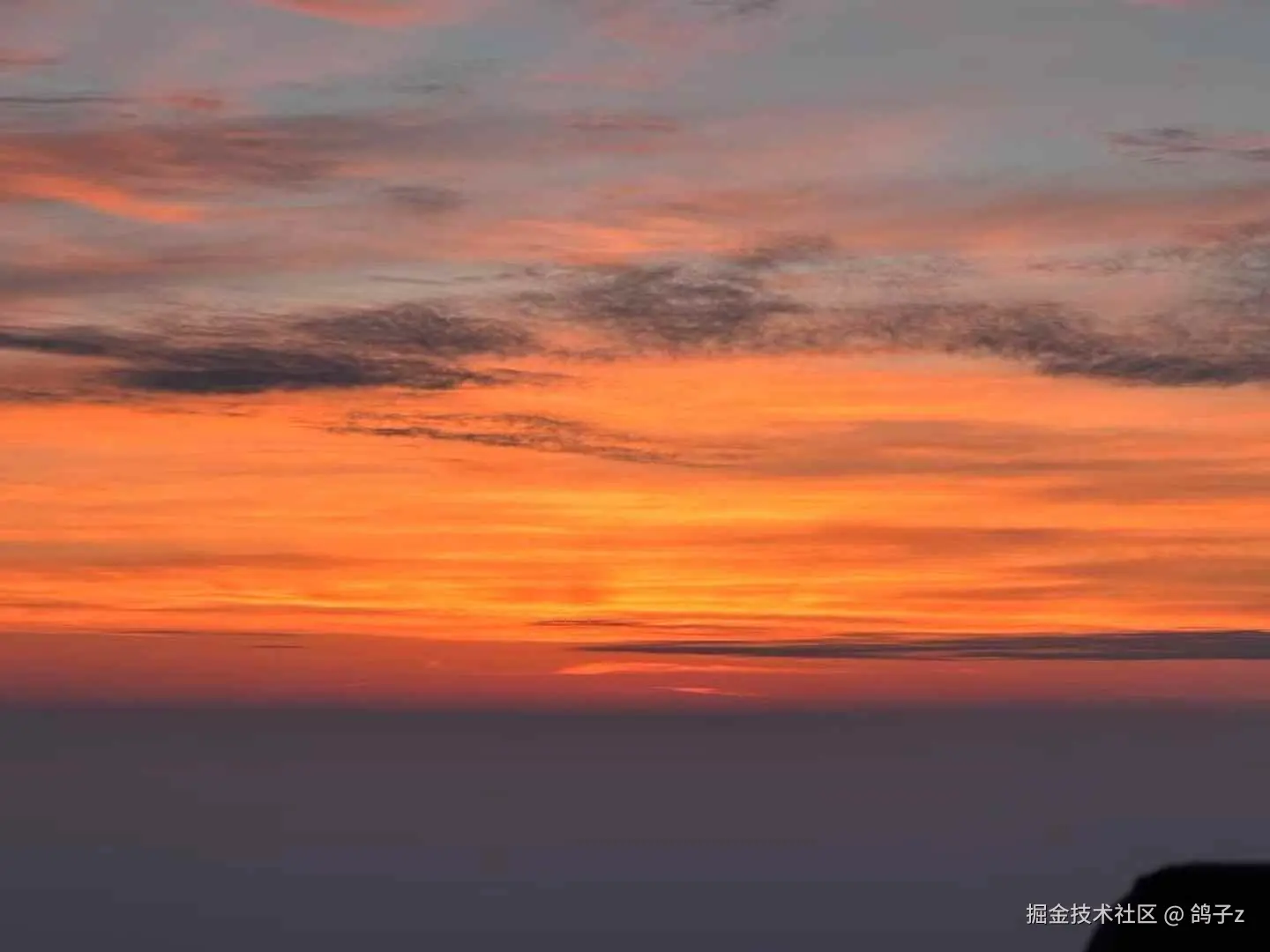 鸽子z于2025-06-04 14:13发布的图片