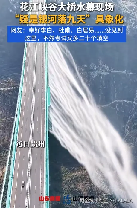 LALALA于2026-02-25 17:09发布的图片