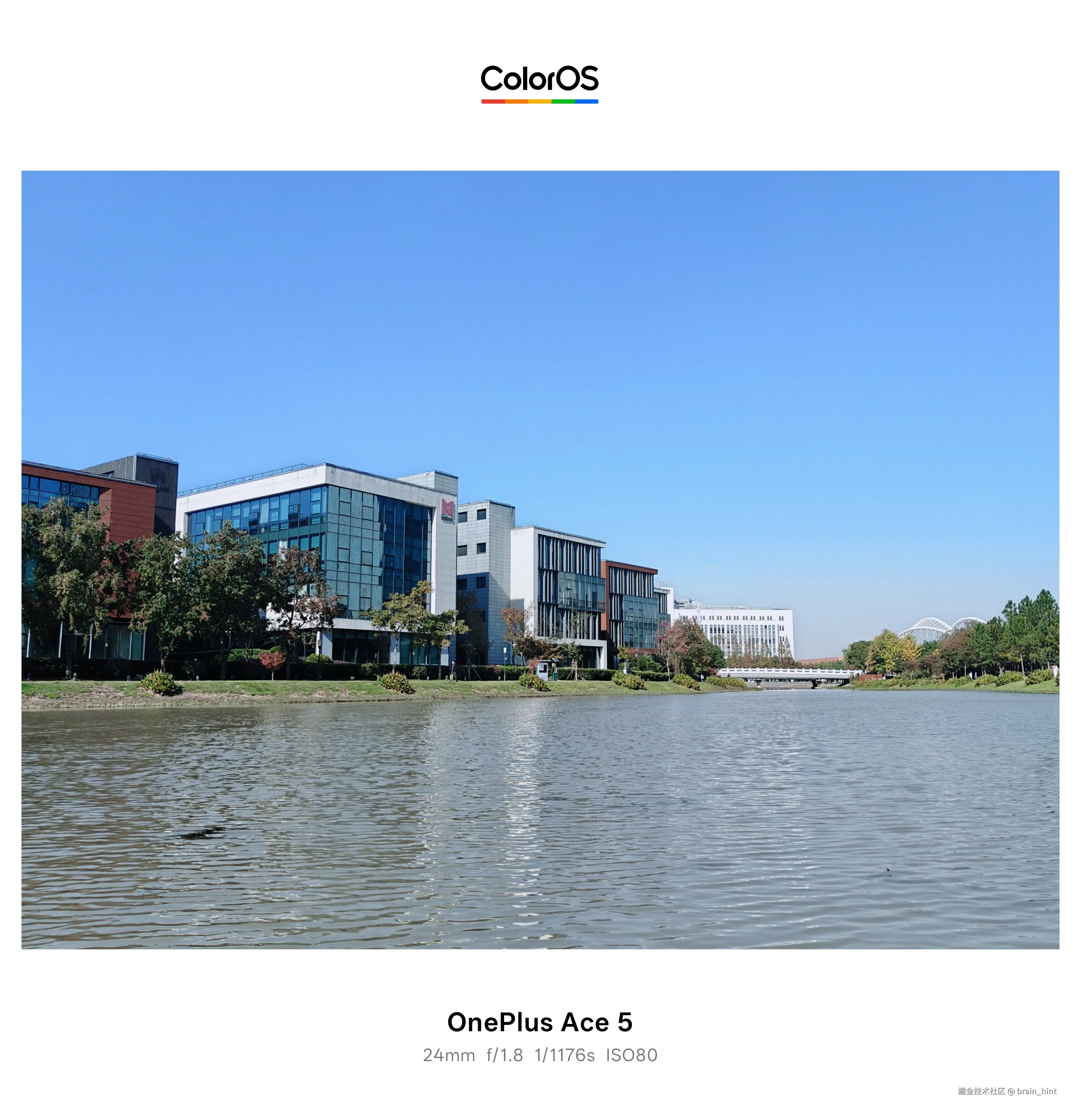 brain_hint于2025-11-19 13:31发布的图片