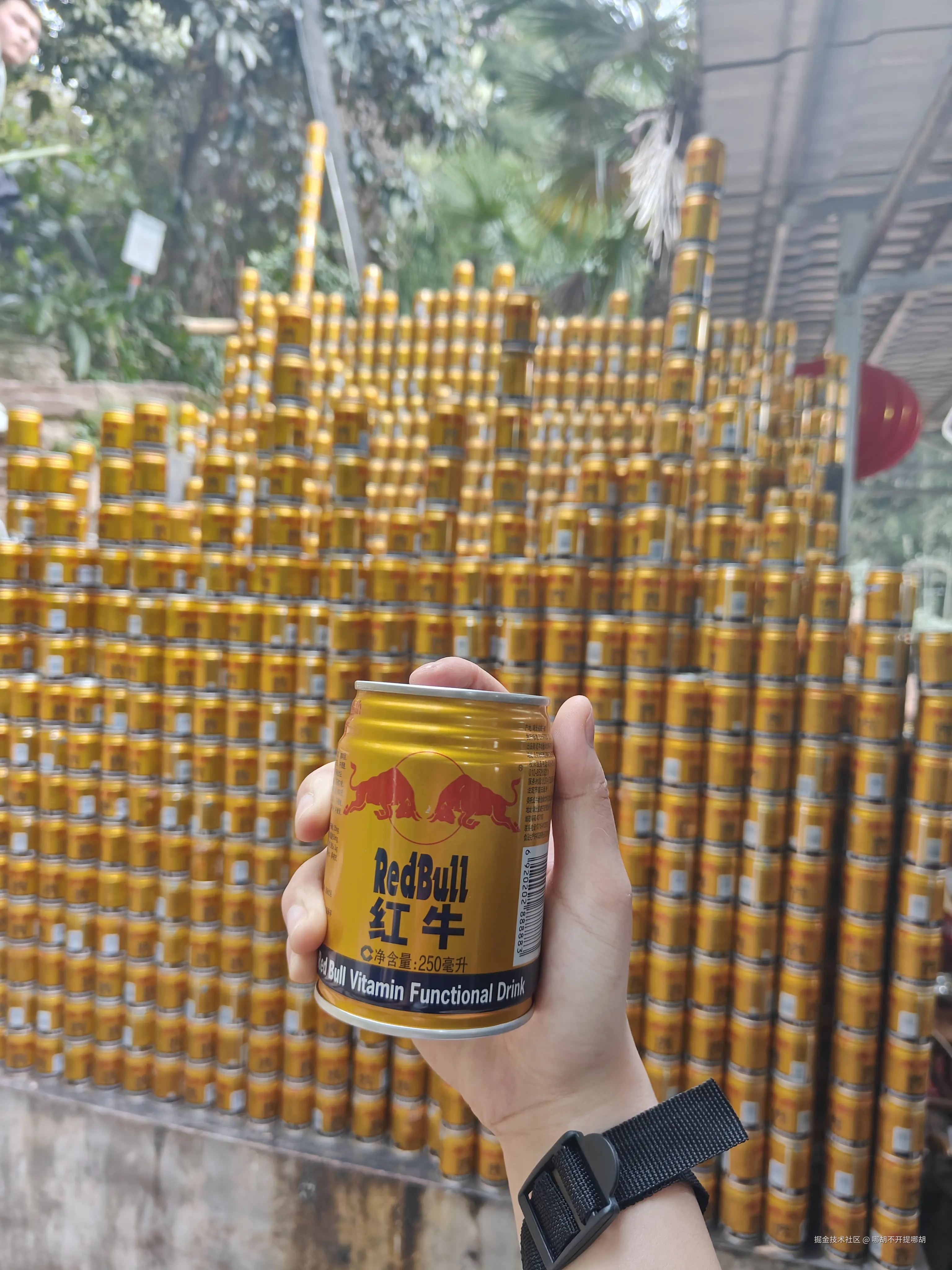 哪胡不开提哪胡于2025-04-07 08:49发布的图片