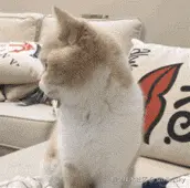 smile1sky于2025-03-21 09:15发布的图片